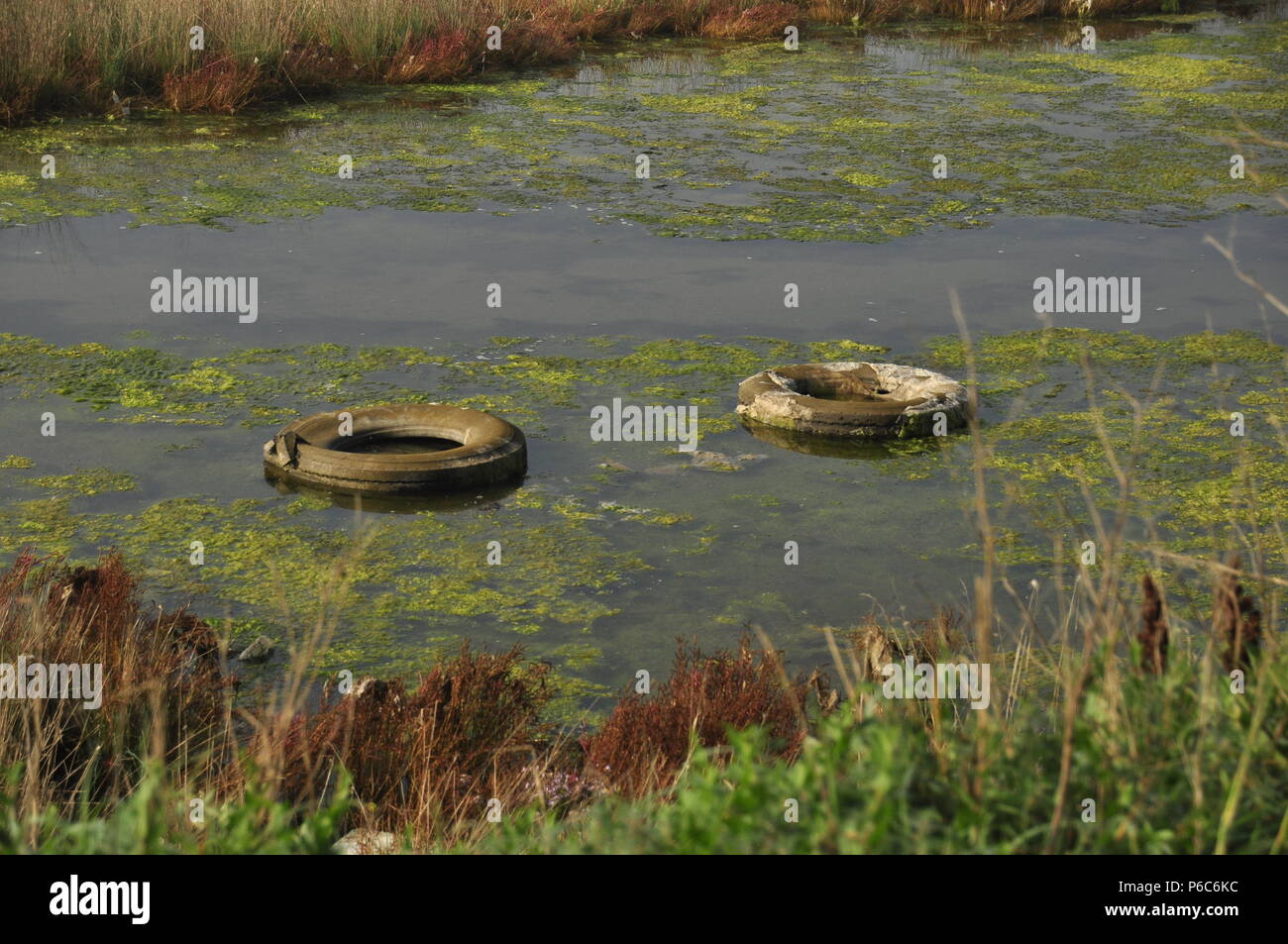 Kahler reifen Fotos und Bildmaterial in hoher Auflösung Alamy