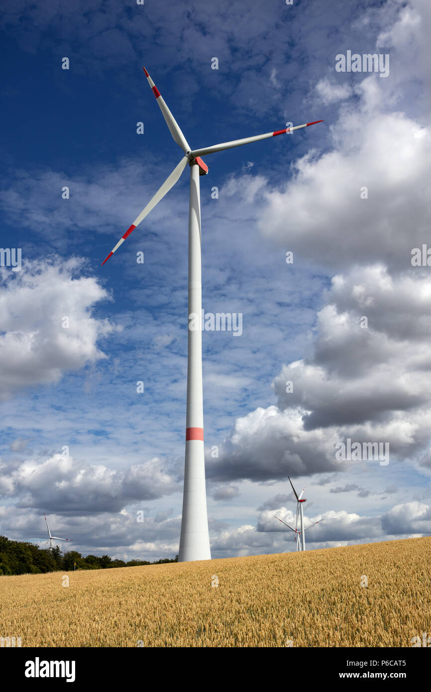 Windenergieanlage in einem Weizenfeld in der Nähe von Helmstadt, Deutschland Stockfoto