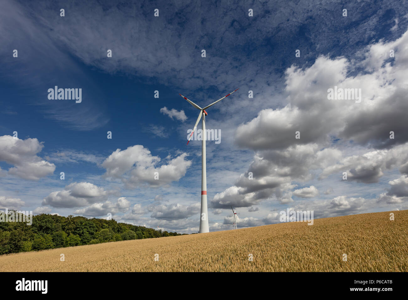 Windenergieanlage in einem Weizenfeld in der Nähe von Helmstadt, Deutschland Stockfoto