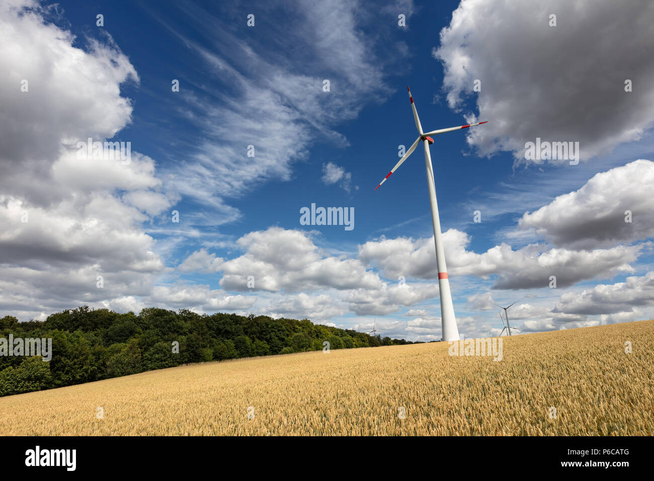 Windenergieanlage in einem Weizenfeld in der Nähe von Helmstadt, Deutschland Stockfoto