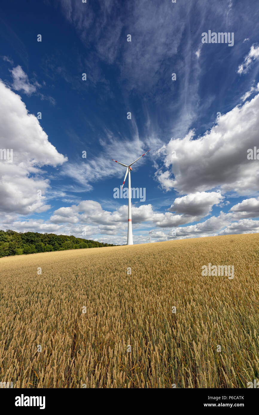 Windenergieanlage in einem Weizenfeld in der Nähe von Helmstadt, Deutschland Stockfoto