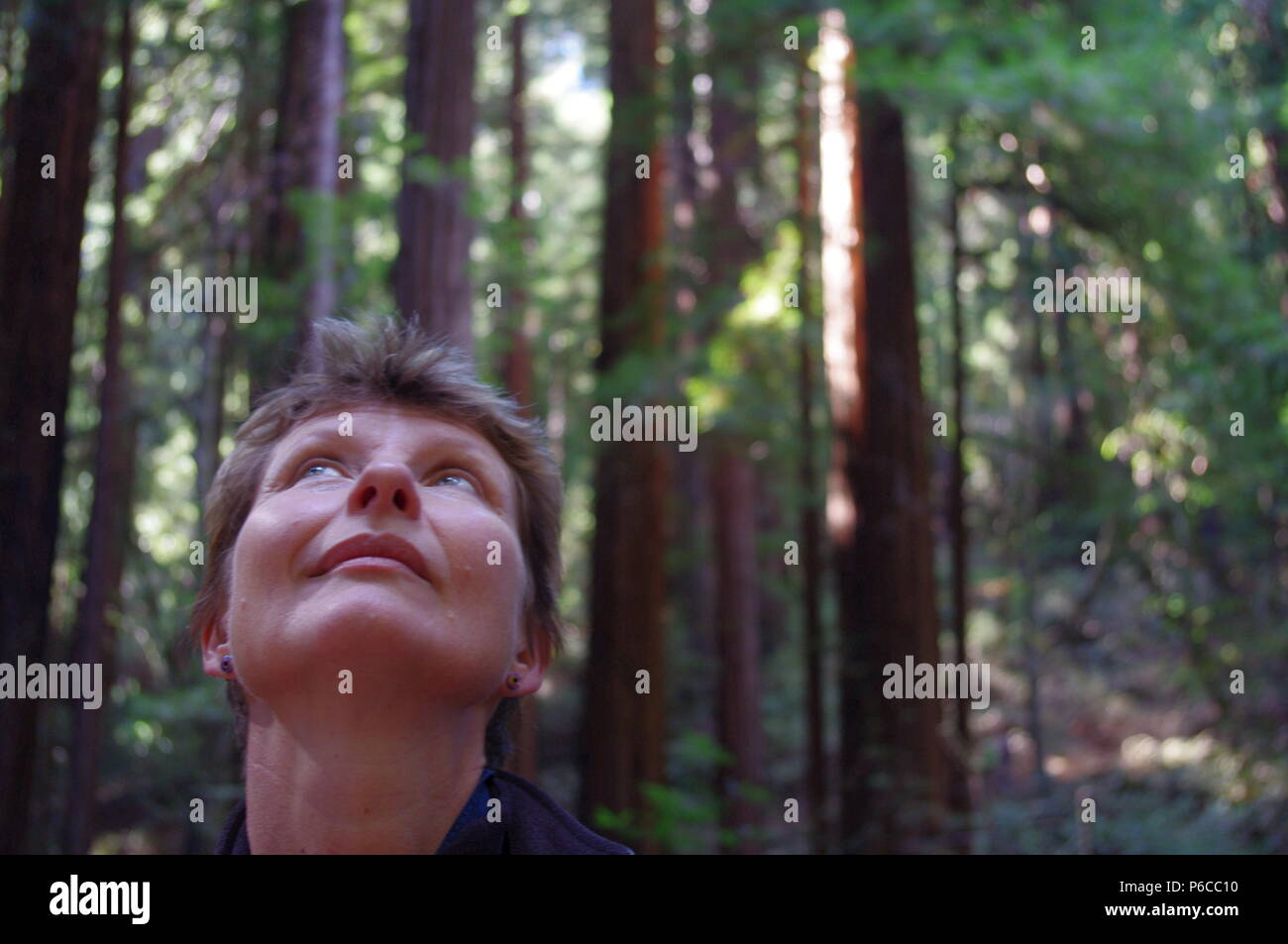 Frau(52), die im Muir Woods, Kalifornien, in einer sanften Brise Sequoia hört Stockfoto