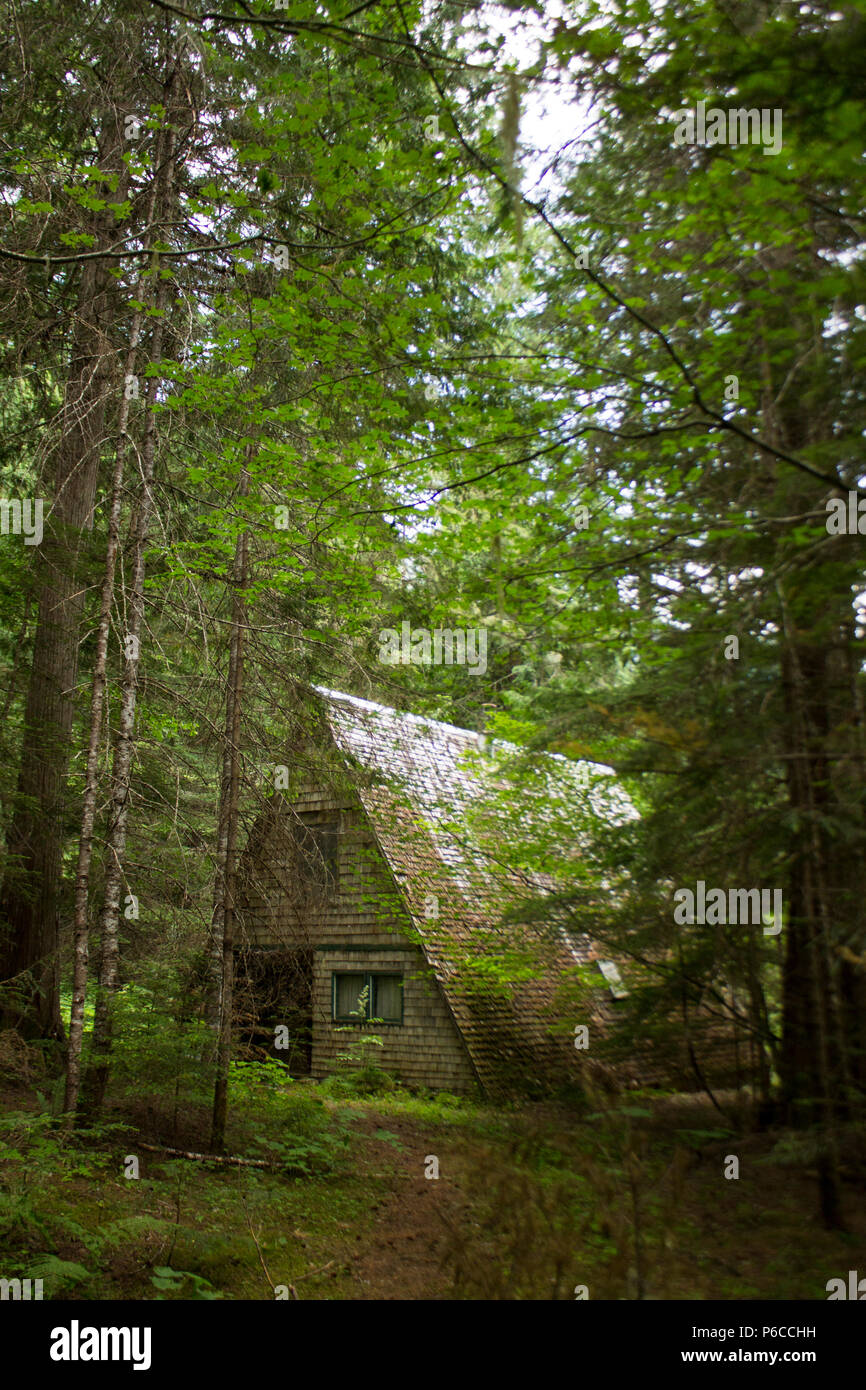 Hütte im Wald am Ufer des skagit Flusses, EINE einfache Wanderung entlang der Sumallo Hain Wanderweg in Manning Park Stockfoto