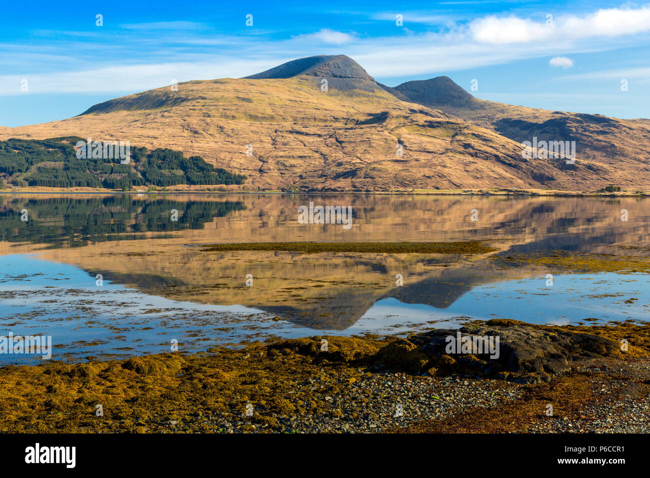 Am frühen Morgen Reflexionen von Ben Mehr in das Wasser des Loch Scridain auf der Isle of Mull, Argyll und Bute, Schottland, Großbritannien Stockfoto