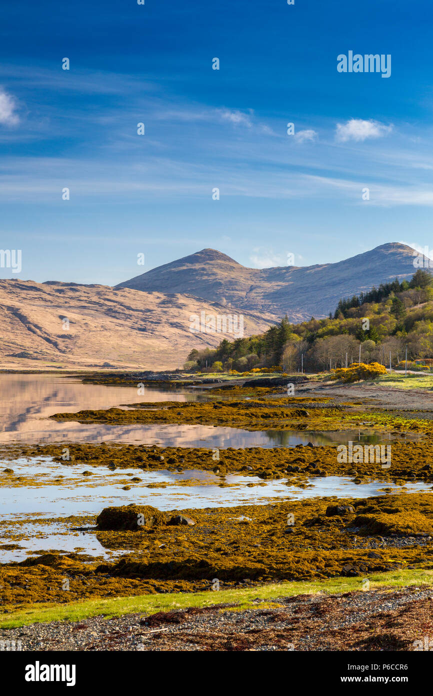 Am frühen Morgen Reflexionen von cruachan Dearg und Corra Bheinn in das Wasser des Loch Scridain auf der Isle of Mull, Argyll und Bute, Schottland, Großbritannien Stockfoto