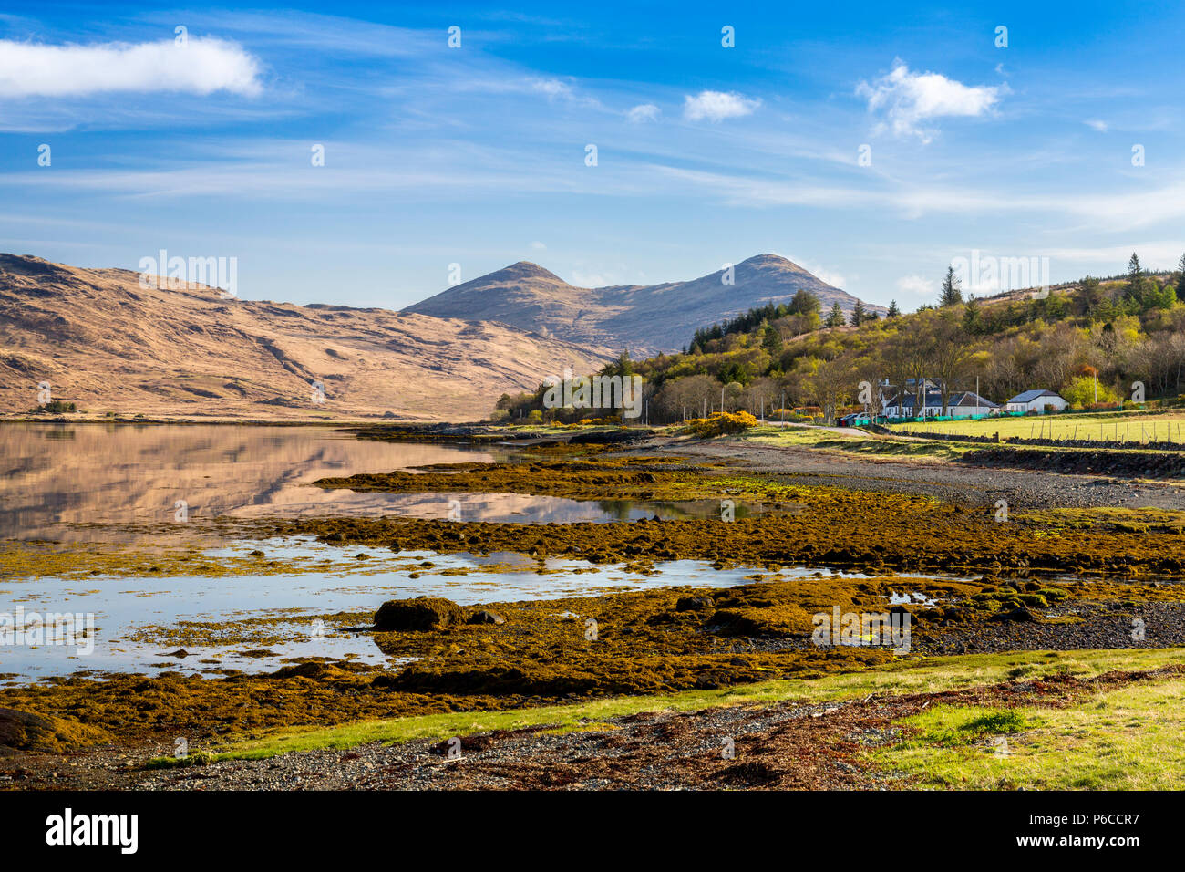 Am frühen Morgen Reflexionen von cruachan Dearg und Corra Bheinn in das Wasser des Loch Scridain auf der Isle of Mull, Argyll und Bute, Schottland, Großbritannien Stockfoto