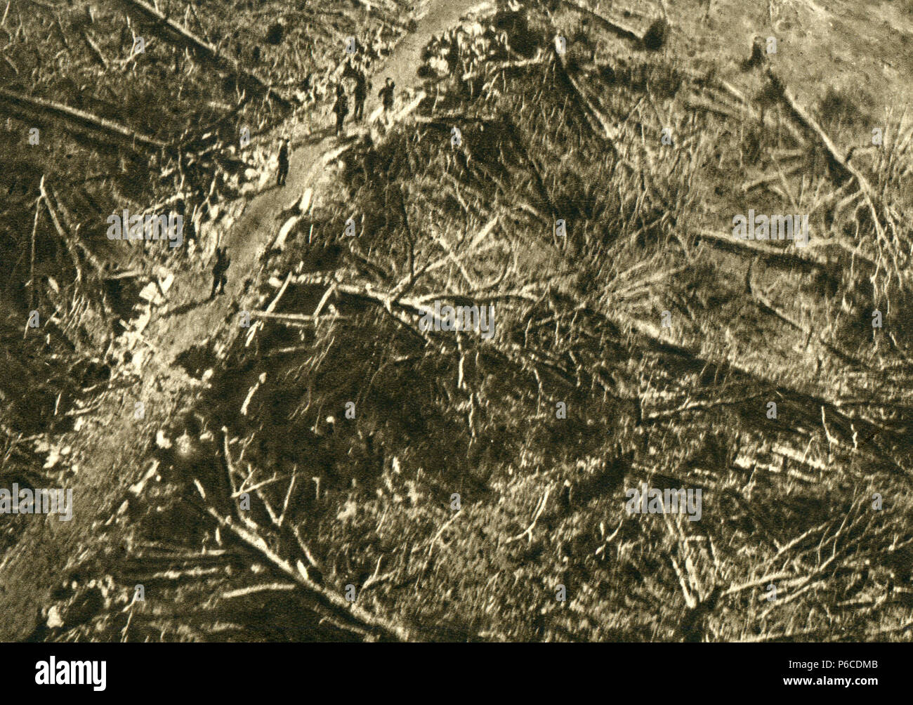 Weltkrieg, Wald Stück, Infanterie, WW1, Wwi, Erster Weltkrieg Stockfoto