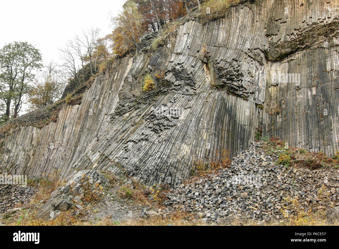 Golden Hill - basaltsäulen - Nationales Naturdenkmal auf dem gleichen Namen im Norden der Tschechischen Republik Stockfoto