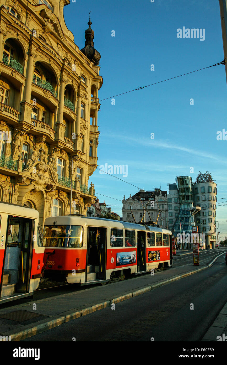 Strassenbahn Katze Reisen Durch Die Stadt Prag Mit Dem Tanzenden