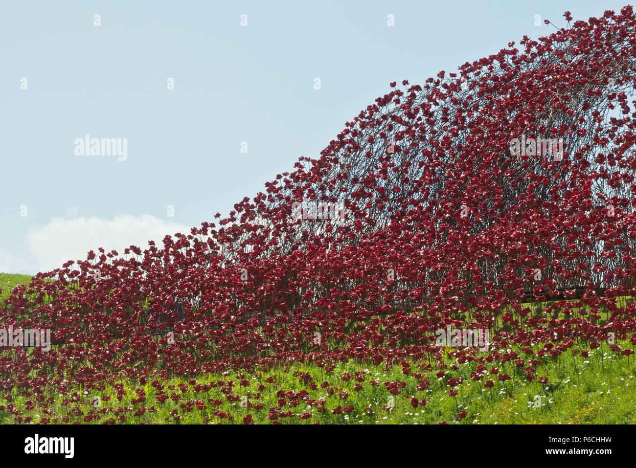 Die 'Welle' Keramik Mohnblumen am Fort Nelson, Portsmouth, Hampshire, UK. Teil der "Blut fegte Länder und Meere von Red'art Installation Stockfoto