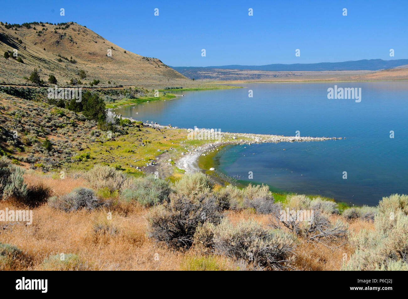 Lake Abert, Lakeview Bezirk Bureau of Landmanagement, Oregon Stockfoto