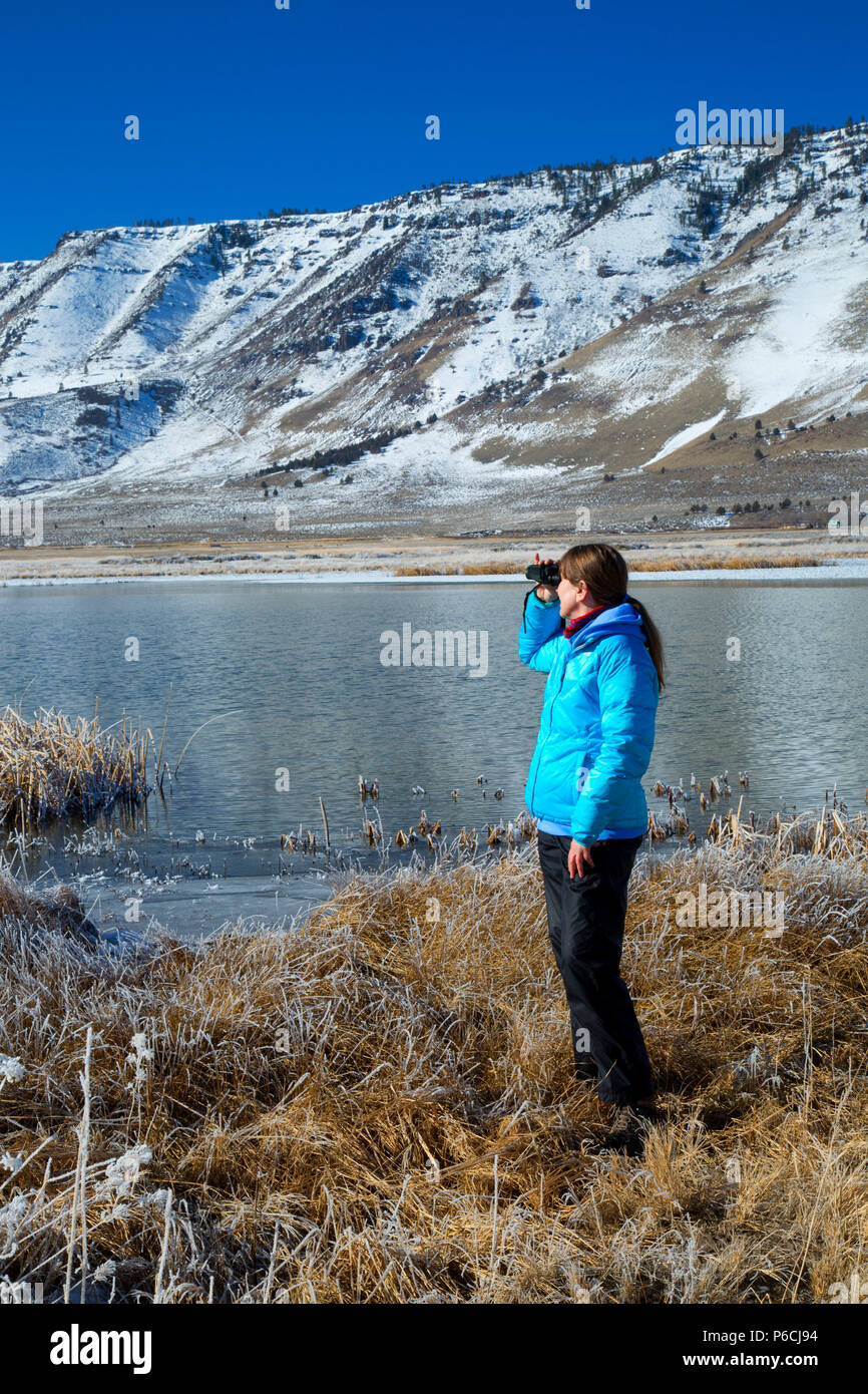 Birding von Teich zu Winter Rim, Sommer See Wildlife, Oregon Outback Scenic Byway, Oregon Stockfoto