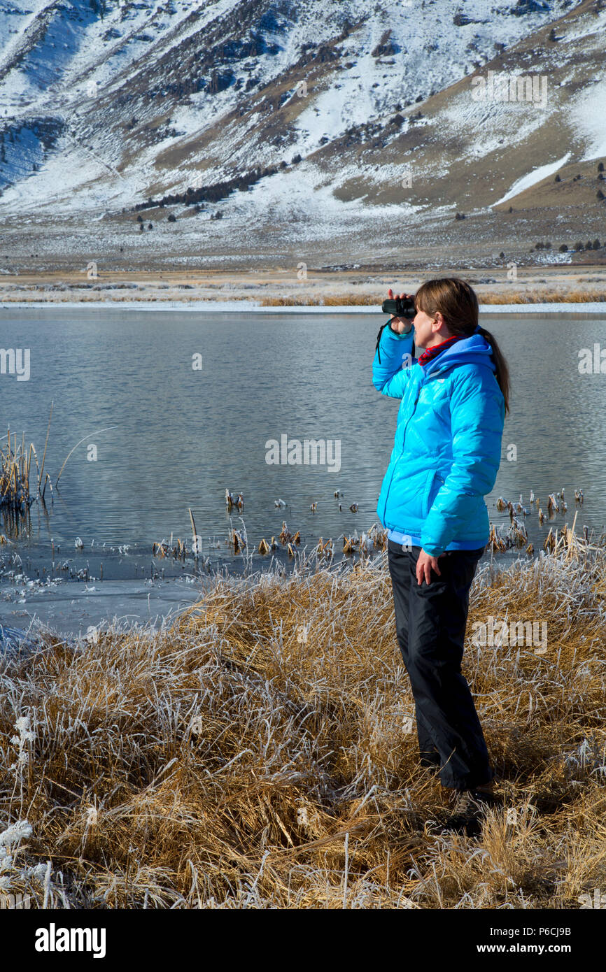 Birding von Teich zu Winter Rim, Sommer See Wildlife, Oregon Outback Scenic Byway, Oregon Stockfoto