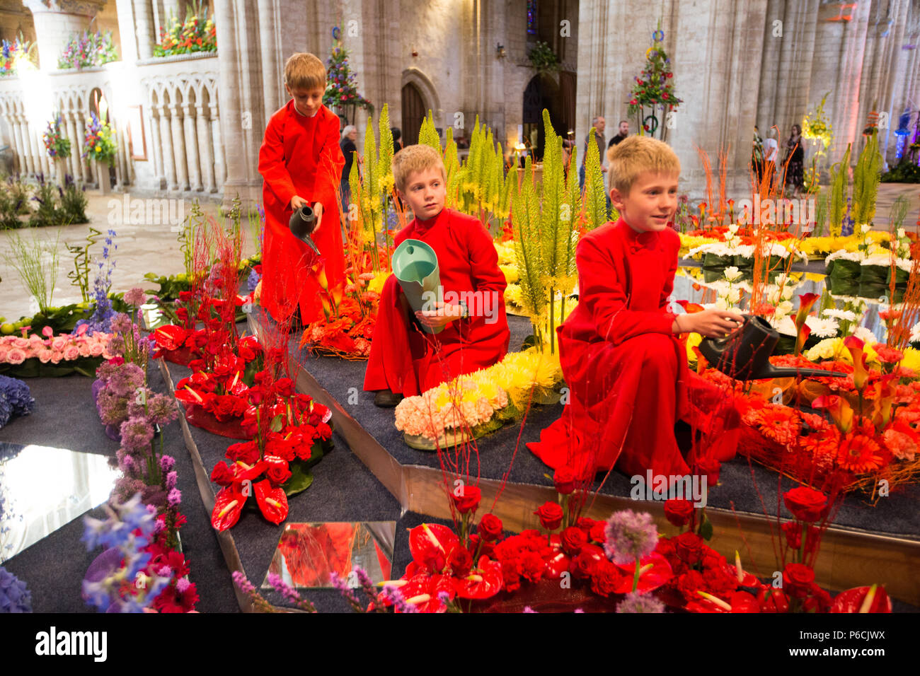 Chorknaben von Ely Cathedral in Cambridgeshire dabei einige last minute Bewässerung der Blumen an dieser Jahre Flower Festival in der Kathedrale statt. Eine acht Meter Kaleidoskop der Blüte unter der berühmten Kathedrale von Ely achteckigen Turm in Cambridgeshire ist einer der Höhepunkte einer Blume Festival, eröffnet heute (Donnerstag). Mehr als 100 Spezialisten floralen Designer haben verbrachten Tage Erstellen der Exponate für das Kaleidoskop des Lebens Veranstaltung mit rund 50.000 Blüten. Die 100 spektakulären Exponaten gehören eine florale Arch die Länge der Ely Kirchenschiff. Stockfoto