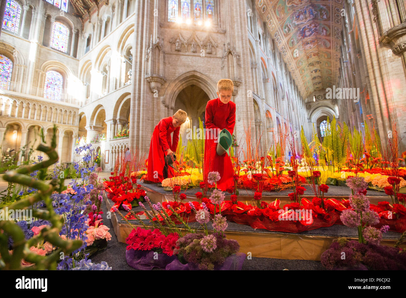 Chorknaben von Ely Cathedral in Cambridgeshire dabei einige last minute Bewässerung der Blumen an dieser Jahre Flower Festival in der Kathedrale statt. Eine acht Meter Kaleidoskop der Blüte unter der berühmten Kathedrale von Ely achteckigen Turm in Cambridgeshire ist einer der Höhepunkte einer Blume Festival, eröffnet heute (Donnerstag). Mehr als 100 Spezialisten floralen Designer haben verbrachten Tage Erstellen der Exponate für das Kaleidoskop des Lebens Veranstaltung mit rund 50.000 Blüten. Die 100 spektakulären Exponaten gehören eine florale Arch die Länge der Ely Kirchenschiff. Stockfoto