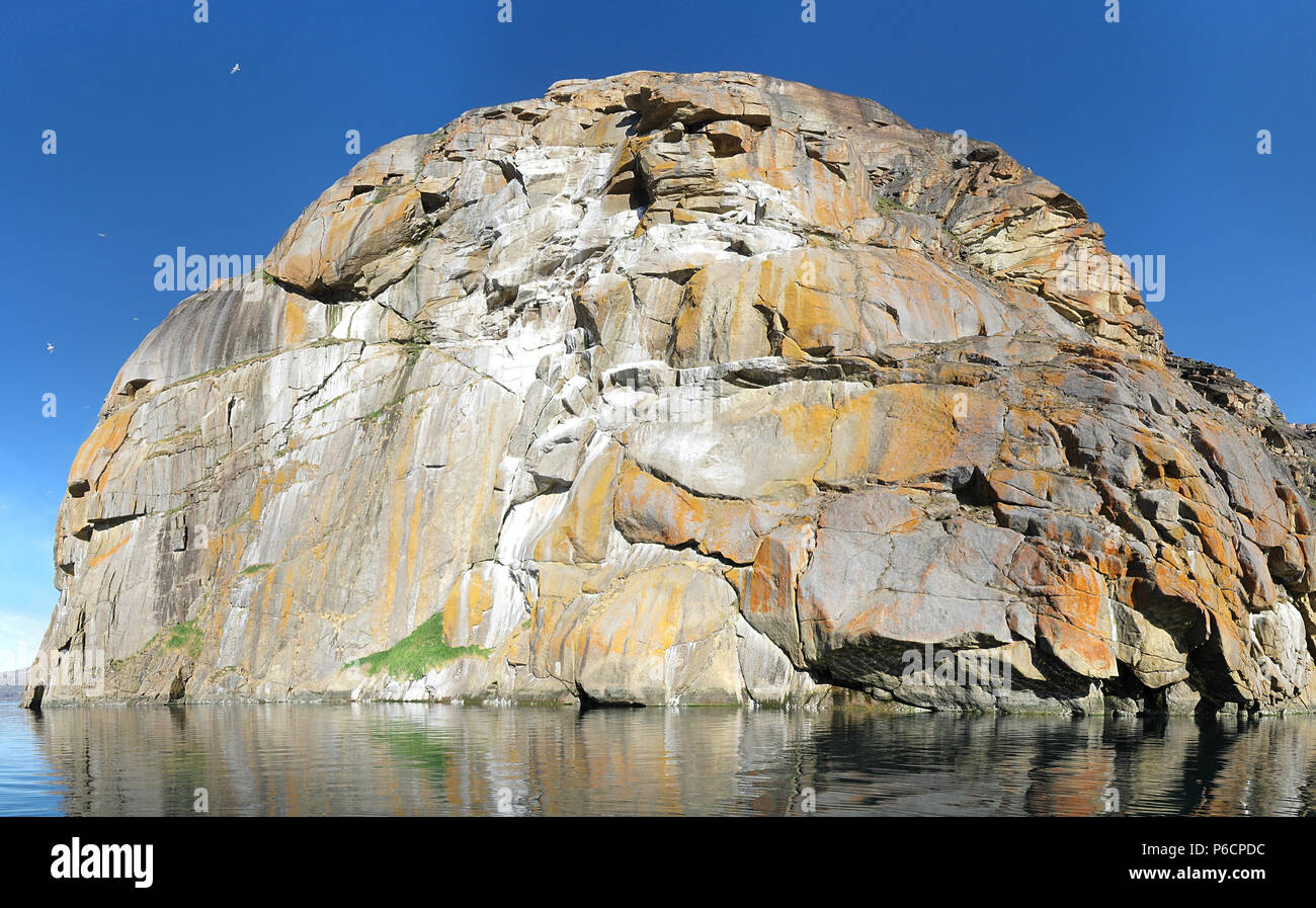 Brut Rock des Eises Gull, Westgrönland, Flechten, orange-gelben Flechten Wachstum, Eis Gull Kolonie, Cliff Brutapparat, Natur Landschaft Stockfoto