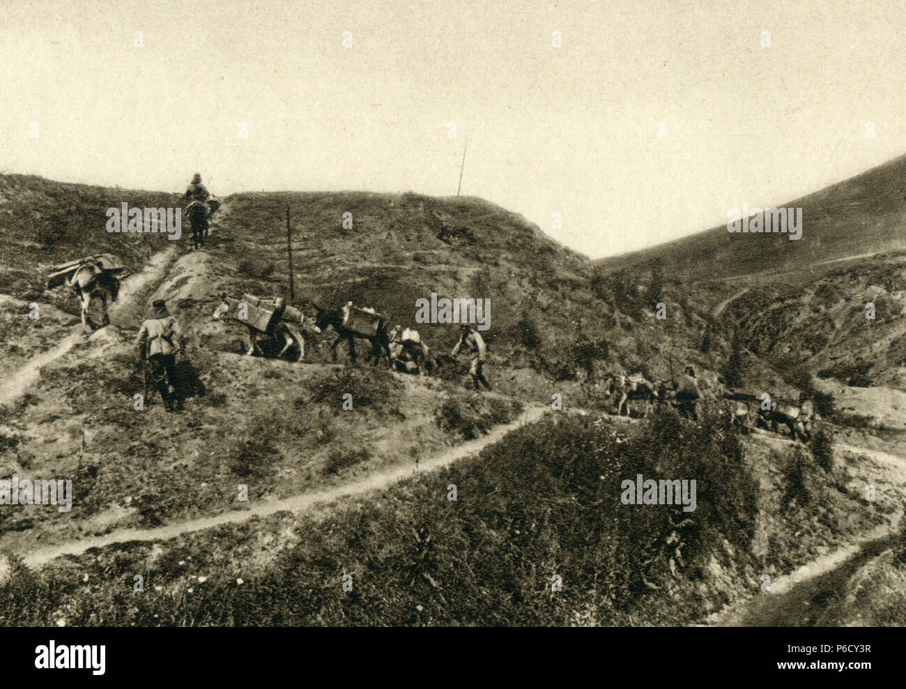 Balkan, Ostfront, lasttier Spalte, WK 1, Weltkrieg, Weltkrieg Stockfoto