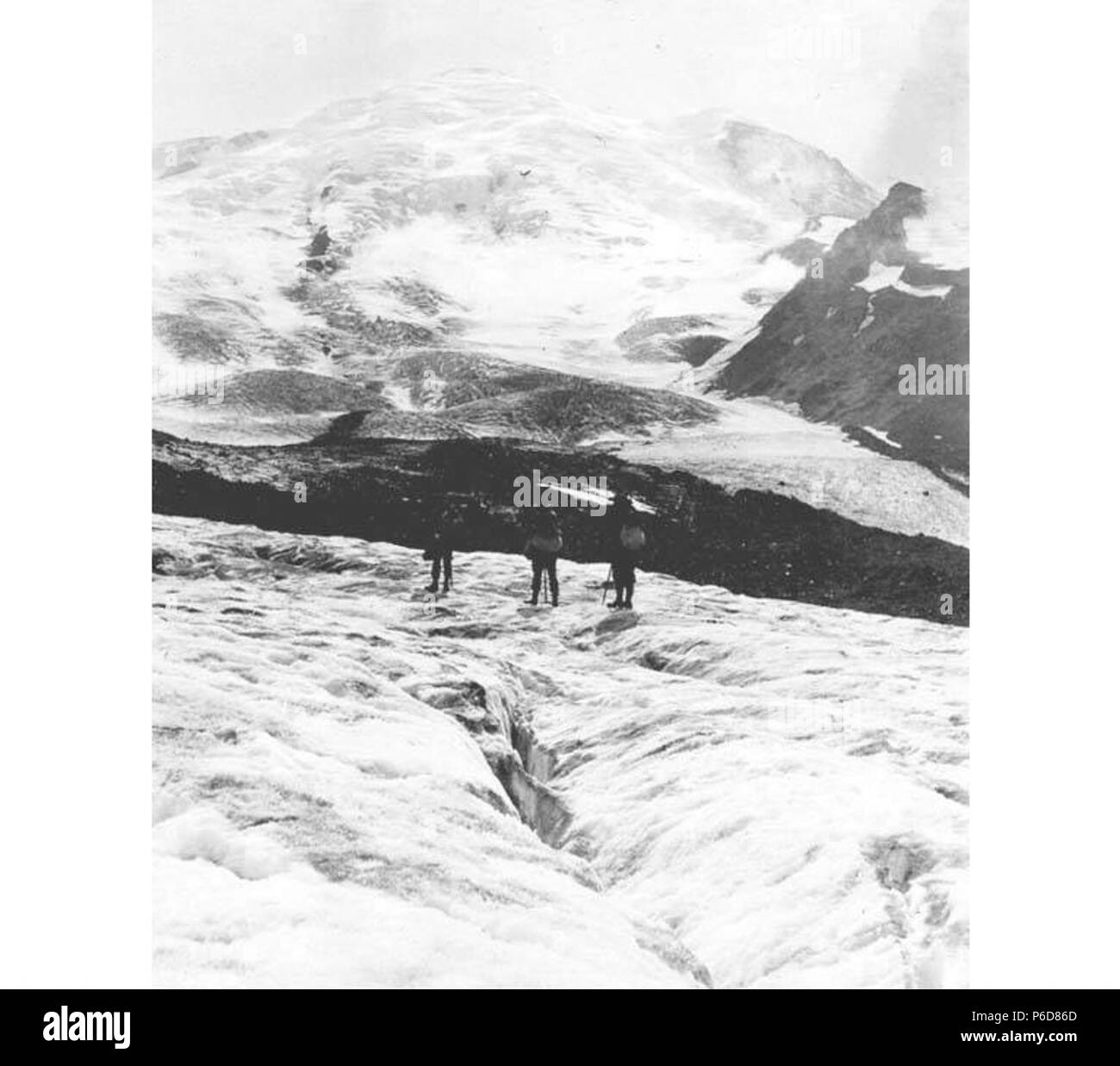 . Englisch: White Glacier, West Hang des Mount Rainier, 22. Juli 1910. Englisch: Legende im Album: 7-22-10. Auf dem weißen Gletscher suchen. Jetzt im Mount Rainier National Park, der 1899 gegründet wurde. PH-Coll 35.390 Themen (LCTGM): Gletscher - Washington (State); Berge - Washington (State) Themen (LCSH): White Glacier (Washington); Rainier, Mount (Wash.); Bergsteiger - Washington (State). 1910 80 weiße Gletscher, West Hang des Mount Rainier, Juli 22, 1910 (88) SARVANT Stockfoto