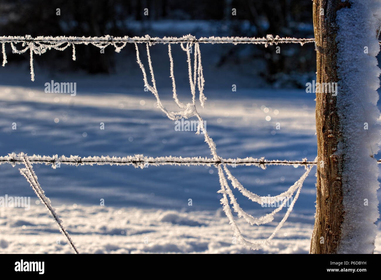 Extrem frosted Stacheldraht und Zaunpfosten, Deutsche Landschaft Stockfoto