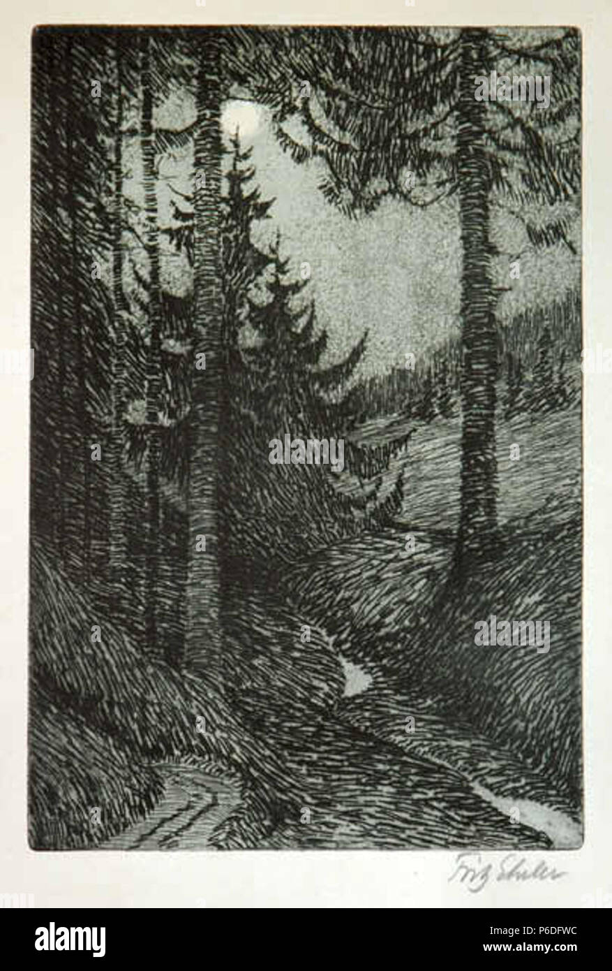 Waldinneres. Kaltnadelradierung, signiert. 37 x 20 cm. ca. 1900 49 Fritz Erler Waldinneres Stockfoto