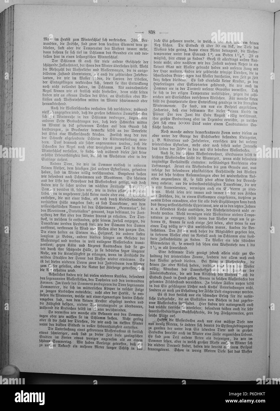 . Gartenlaube sterben. English: Seite 838 aus 'Die Gartenlaube'. Englisch: Seite 838 aus der Zeitschrift Die Gartenlaube für 1897. Extrahierte Bild (falls vorhanden): Datei: Die Gartenlaube (1897) b 838.jpg - Hochauflösende,  2,5 MB. English: keine Bildunterschrift Englisch: keine Bildunterschrift. N/A 32 Gartenlaube (1897) 838 Sterben Stockfoto