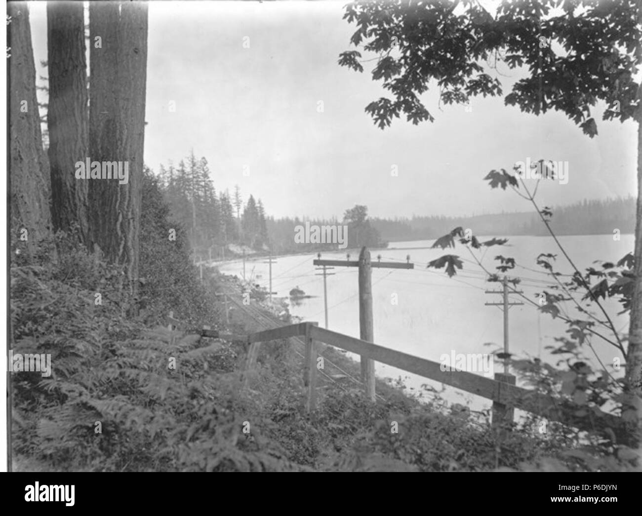 . Englisch: Lake Washington vom nördlichen Ende in der Nähe von Kenmore, Washington, 26. Mai 1901. Englisch: Text von Kiehl anmelden: Lake Washington - Nord von der Straße, westlich der See am nördlichen Ende Mai 26., 1901. Album 3.033 Probanden (LCTGM): Utility Pole - Washington (State) - kenmore Themen (LCSH): Washington, See (Washington); Seen - Washington (State) - King County; Kenmore (Washington). 1901 59 Lake Washington vom nördlichen Ende in der Nähe von Kenmore, Washington, 26. Mai 1901 (KIEHL 103) Stockfoto