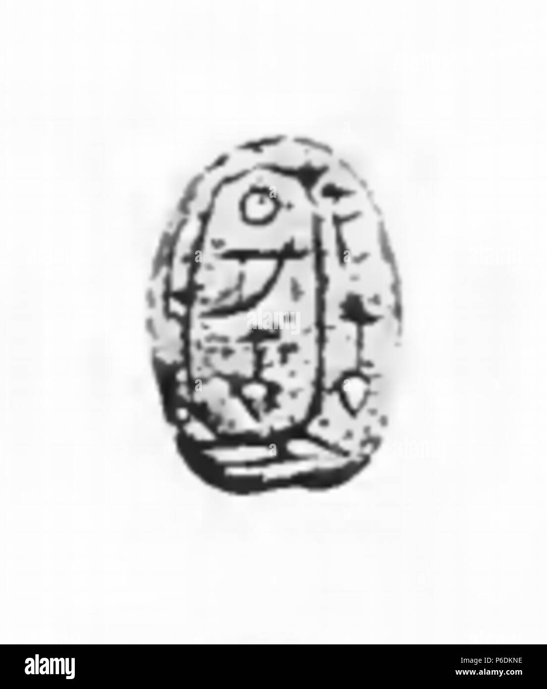 63 Merneferra Skarabäus Petrie Stockfoto