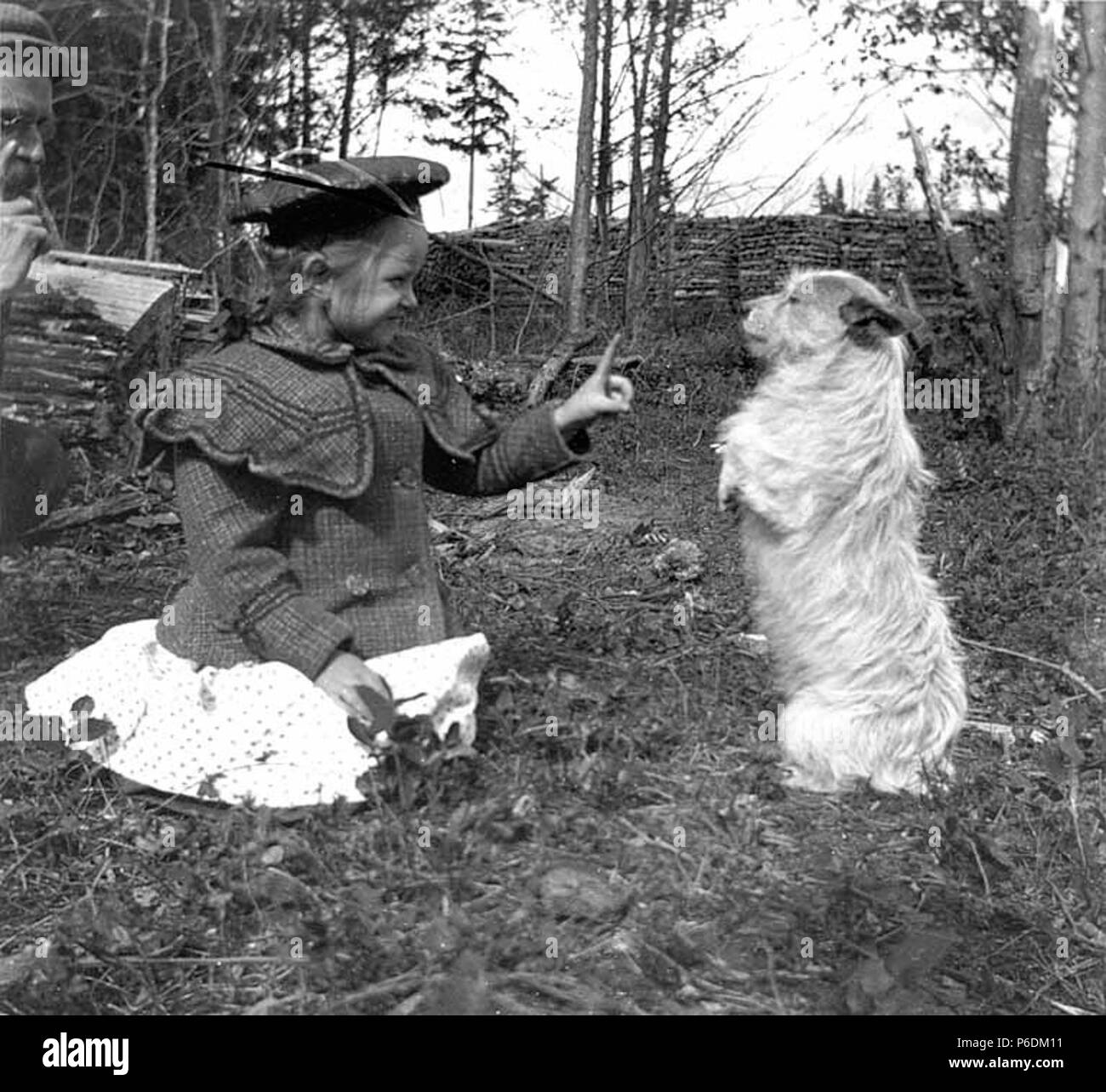 Miriam Kiehl spielt mit Hund Pedro, Magnolia Bluff, Seattle, Washington, 4.  Februar 1900 (KIEHL 321 Stockfotografie - Alamy