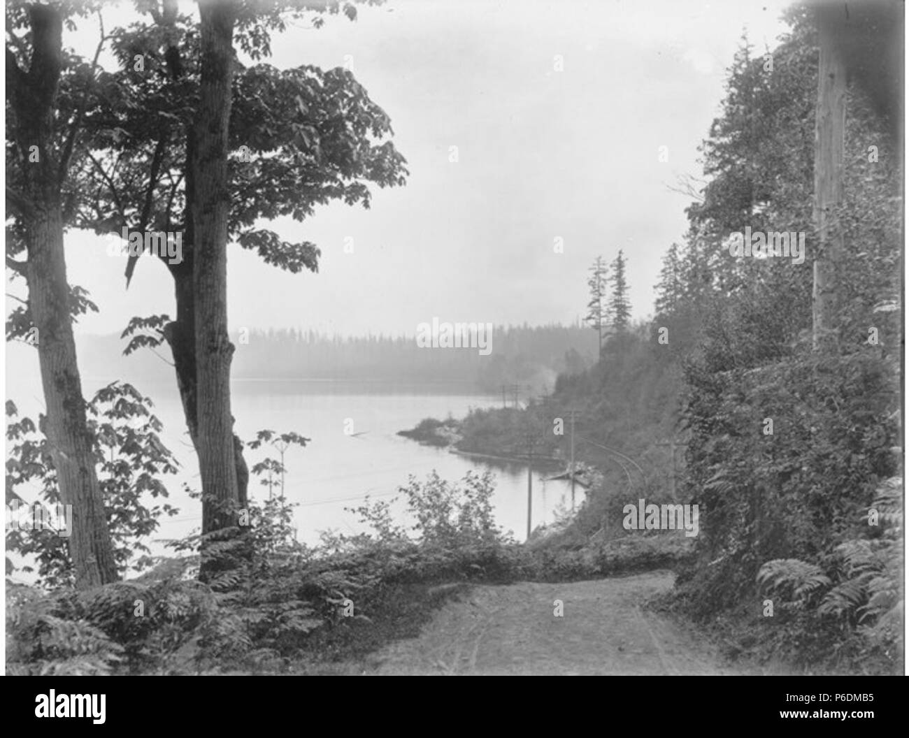 . Englisch: North Lake Washington in der Nähe von Kenmore, Washington, 26. Mai 1901. Englisch: Text von Kiehl anmelden: Lake Washington - im Süden von der Straße, westlich der See am nördlichen Ende Mai 26, 1901 Album 3.034 Probanden (LCSH): Washington, See (Washington); Seen - Washington (State) - Kenmore; Kenmore (Washington). 1901 64 North Lake Washington in der Nähe von Kenmore, Washington, 26. Mai 1901 (KIEHL 206) Stockfoto