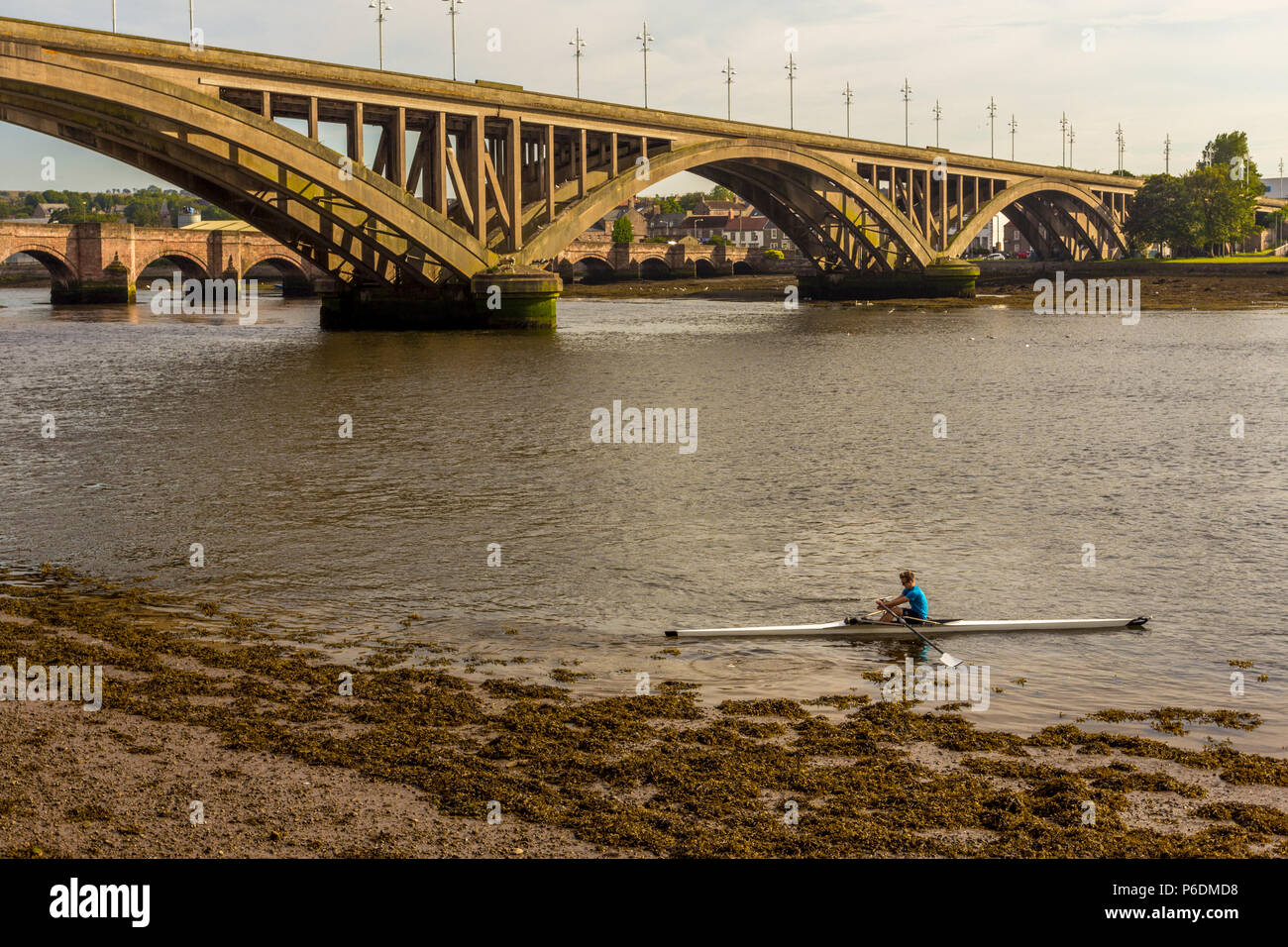 Kayaker macht sich auf den Fluss Tweed, mit Royal Tweed Bridge und Berwick Bridge im Hintergrund Stockfoto