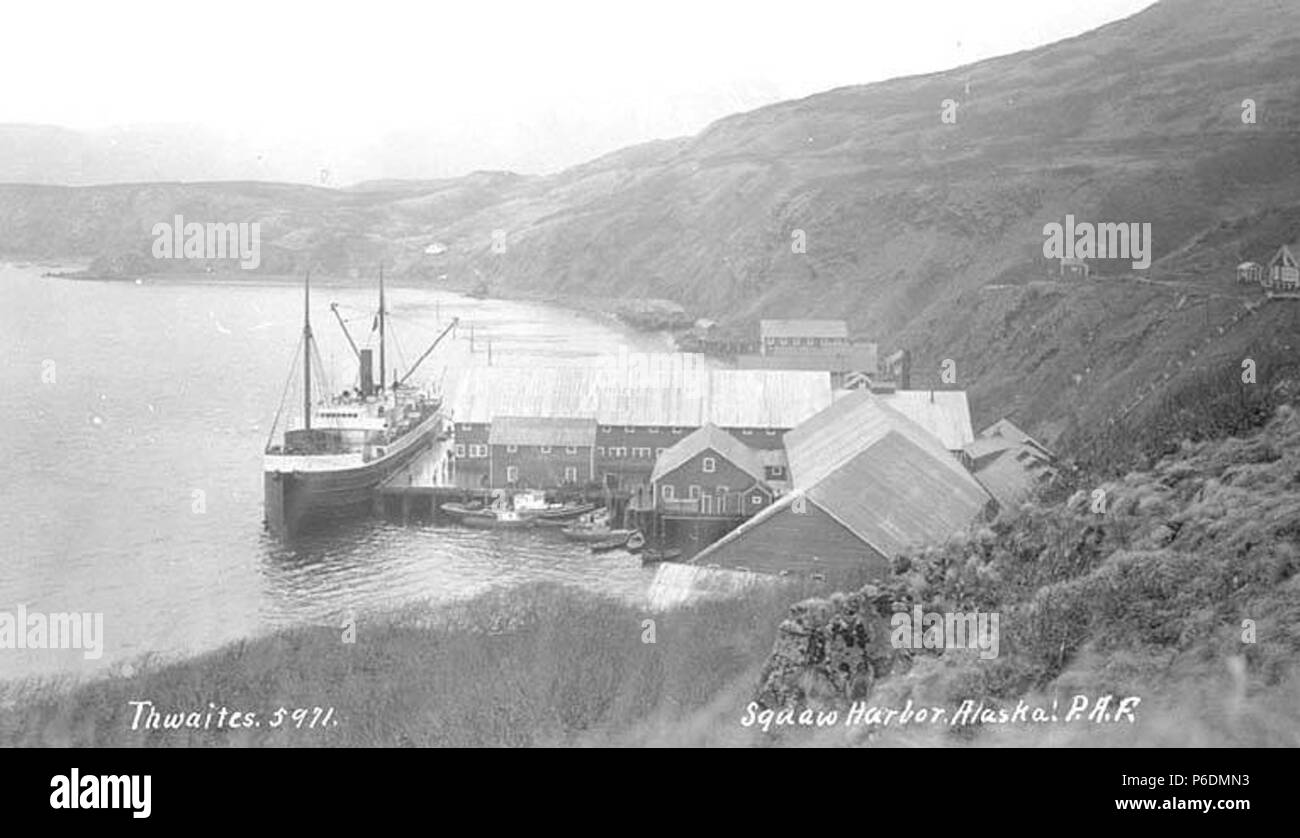 . Englisch: Pacific American Fischerei Konservenfabrik in Squaw Hafen, Ca. 1912. Englisch: Squaw Hafen ist ein Dorf im Südwesten von Alaska liegt an der Ostküste von Unga Island. Bildunterschrift auf Bild: Squaw Harbor, Alaska, P.A.F. PH-Coll 247.939 Probanden (LCTGM): Pacific American Fischerei, Inc. - - - - Alaska - Squaw Hafen; Fischerboote - Alaska - Squaw Hafen; Ruderboote - Alaska - Squaw Hafen; Piers und Kaianlagen - Alaska - Squaw Hafen Themen (LCSH): Lachs Konservenfabriken - Alaska - Squaw Hafen; Lachs Konservenindustrie - Alaska - Squaw Hafen. ca. 1912 66 Pacific American Fischerei Konservenfabrik in Squaw Hafen, ca 1912 Stockfoto