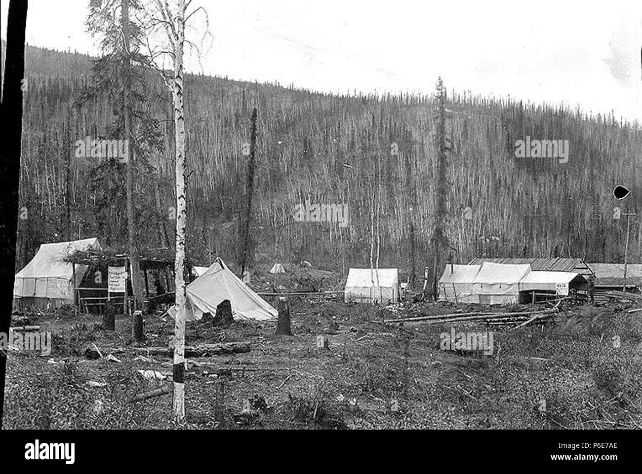 Englisch: Autobahnraststtten und Zelten auf Bergbau Anspruch Nr. 65 unter  Bonanza Creek, Yukon Territory, 1899. Englisch: PH-Coll 35.508 Klondike  Gold Rush Themen (LCTGM): Hotels - Yukon Territory; Zelte - Yukon Territory.