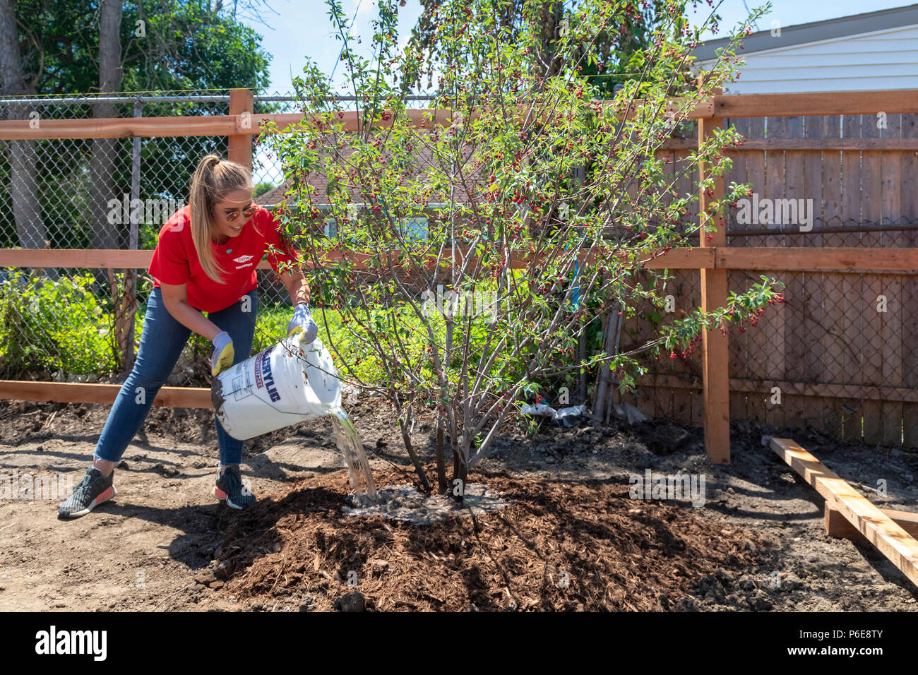 Detroit, Michigan - die Freiwilligen helfen, eine neue Gemeinschaft Morningside Park in der Nachbarschaft aufzubauen. Viele der Freiwilligen sind Student Sommer inte Stockfoto