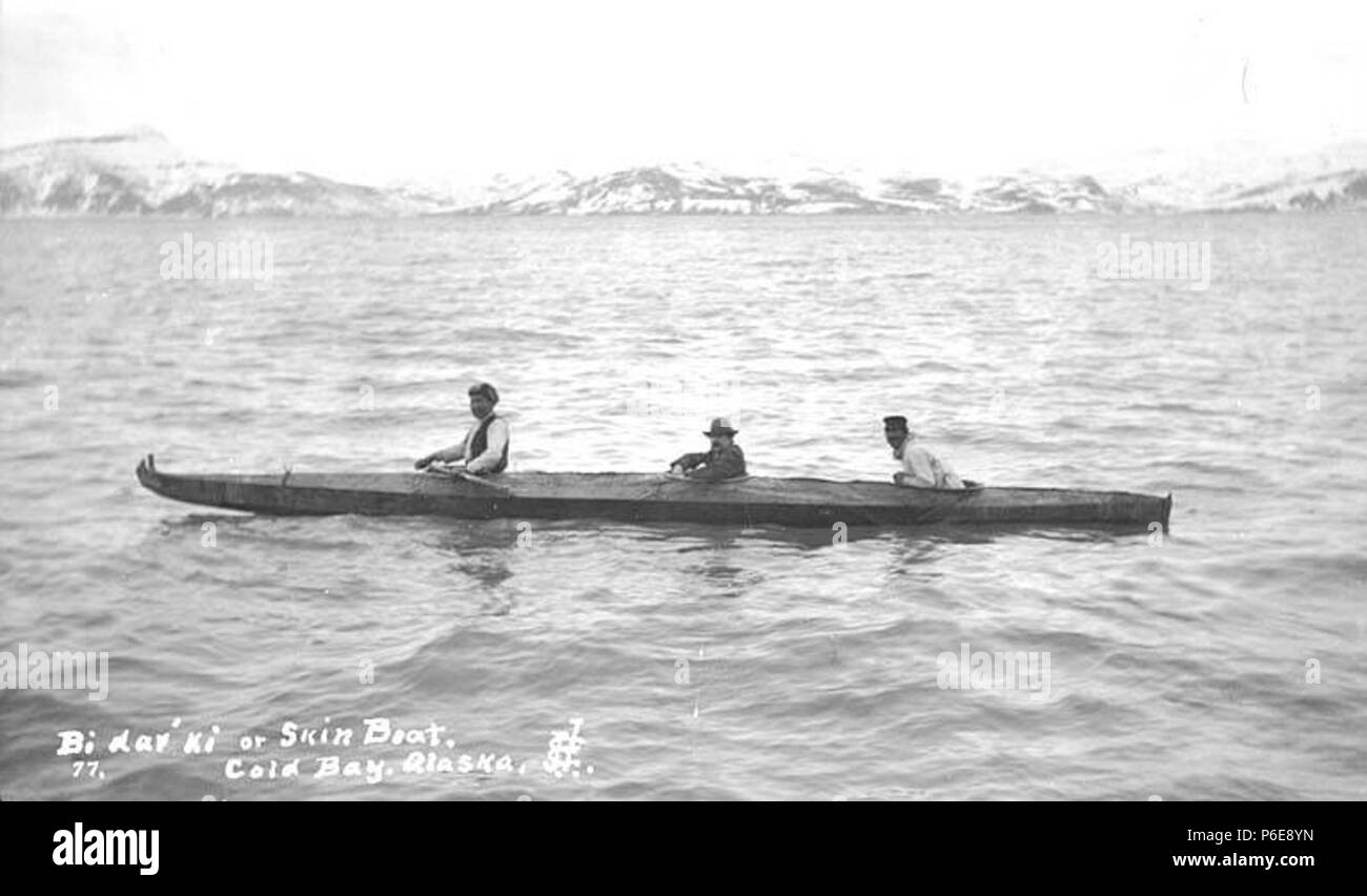 . Englisch: Drei Eingeborenen in einem bidarki oder Haut bedeckt Boot auf Cold Bay, Ca. 1912. Englisch: Legende auf Bild: Bi-dar-ki oder Haut Boot, Cold Bay, Alaska PH-Coll 247.21 Themen (LCSH): aleuts - Alaska - Cold Bay (Bay); Bidarkas - Alaska - Cold Bay (Bay); Haut Boote - Alaska - Cold Bay (Bucht). ca. 1912 77 Drei Eingeborenen in einem bidarki oder Haut bedeckt Boot auf Cold Bay, ca 1912 (THWAITES 3) Stockfoto