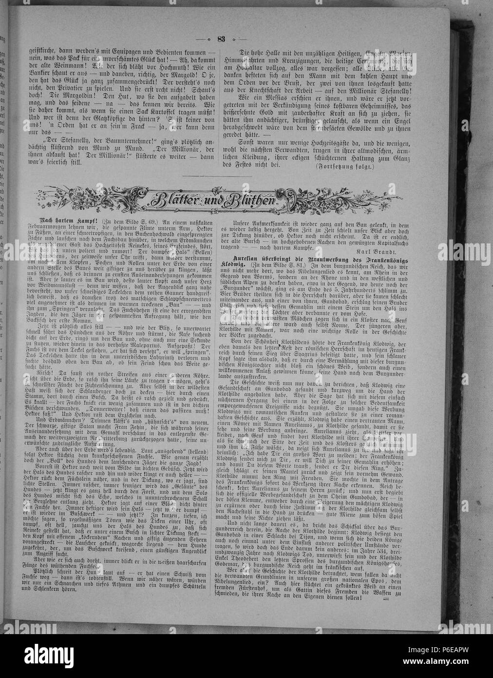 . Gartenlaube sterben. English: Seite 83 aus 'Die Gartenlaube'. Englisch: Seite 83 aus der Zeitschrift Die Gartenlaube für 1891. Extrahierte Bild (falls vorhanden): Datei: Sterben b083 Gartenlaube (1891).jpg - Hochauflösende,  2,5 MB. English: keine Bildunterschrift Englisch: keine Bildunterschrift. N/A13 die Gartenlaube (1891) 083 Sterben Stockfoto