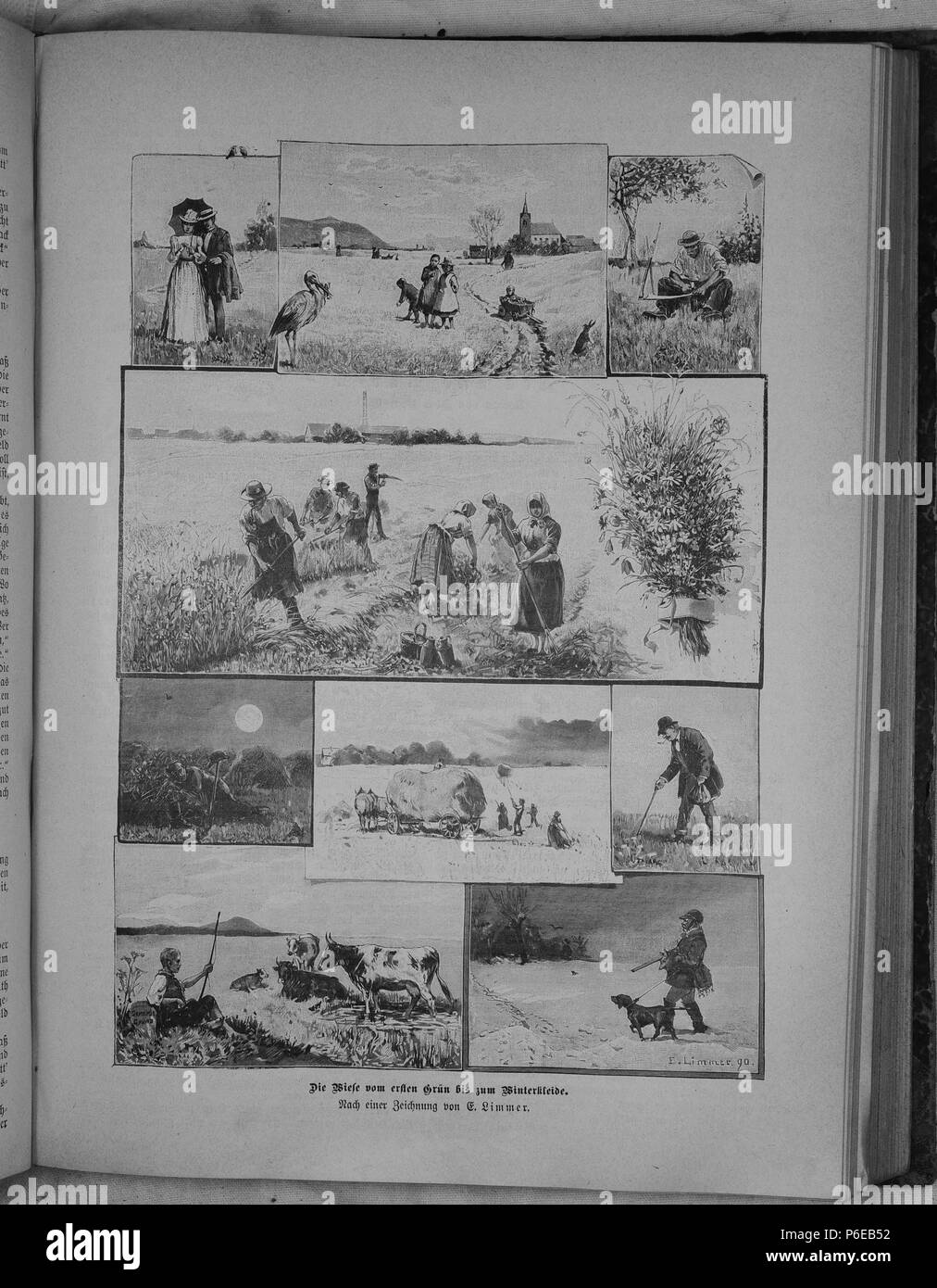 . Gartenlaube sterben. English: Seite 461 aus 'Die Gartenlaube'. Englisch: Seite 461 aus der Zeitschrift Die Gartenlaube für 1891. Extrahierte Bild (falls vorhanden): Datei: Die Gartenlaube (1891) b 461.jpg - Hochauflösende,  2,5 MB. English: keine Bildunterschrift Englisch: keine Bildunterschrift. N/A 15 Gartenlaube (1891) 461 Sterben Stockfoto