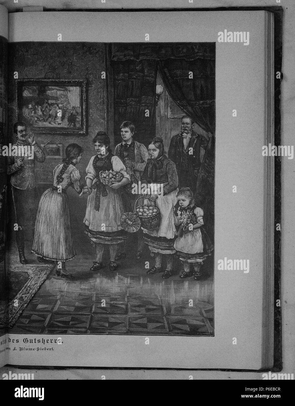 . Gartenlaube sterben. English: Seite 737 aus 'Die Gartenlaube'. Englisch: Seite 737 aus der Zeitschrift Die Gartenlaube für 1891. Extrahierte Bild (falls vorhanden): Datei: Die Gartenlaube (1891) b737.jpg - Hochauflösende,  2,5 MB. English: keine Bildunterschrift Englisch: keine Bildunterschrift. N/A17 Gartenlaube (1891) 737 Sterben Stockfoto