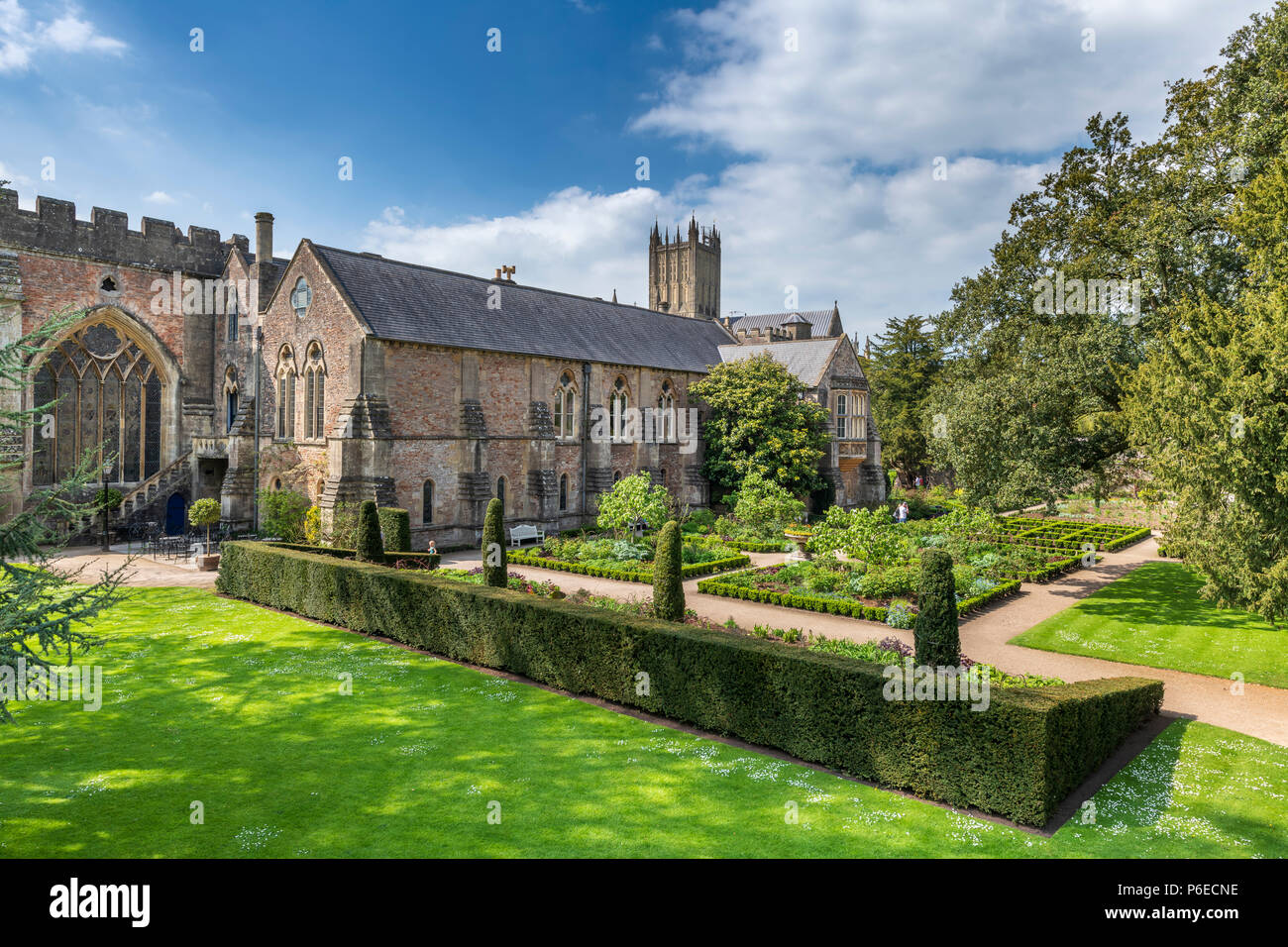 Die schönen Gärten am Palast des Bischofs im Schatten der Wells Cathedral. Stockfoto
