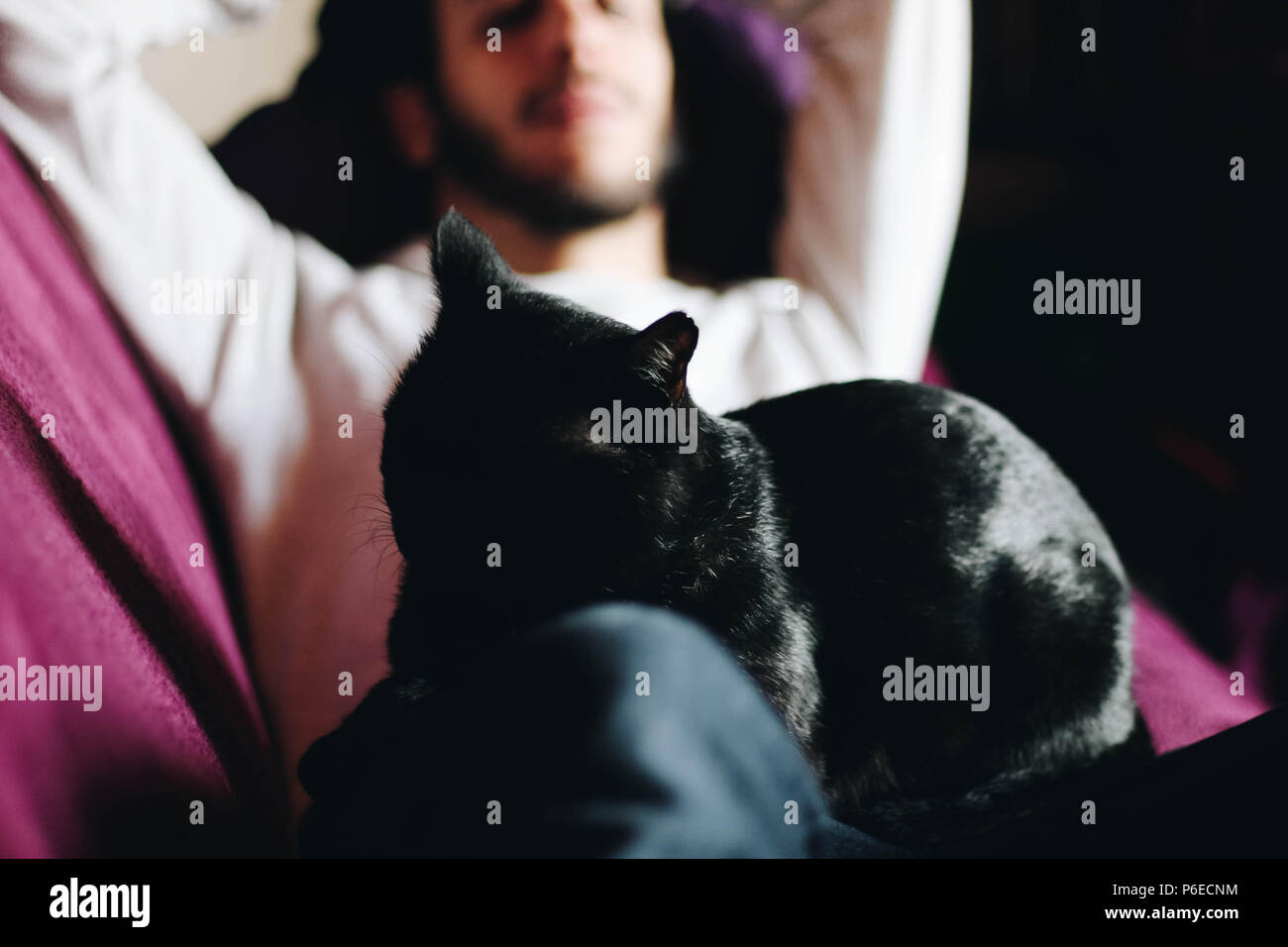 In der Nähe von Mann und die schwarze Katze auf seinem Schoß Stockfoto