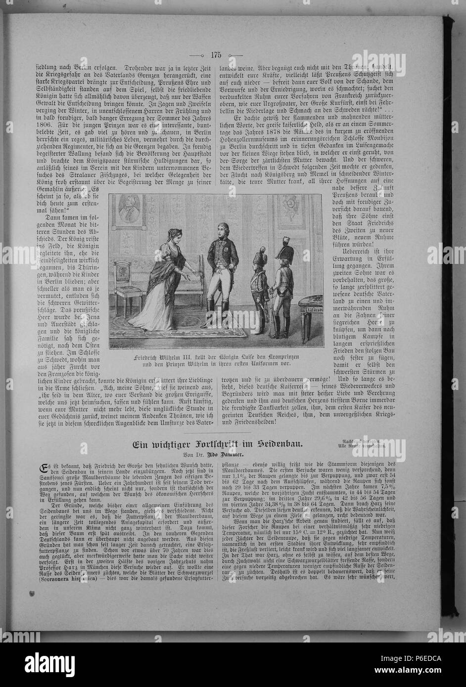 . Gartenlaube sterben. English: Seite 175 aus 'Die Gartenlaube'. Englisch: Seite 175 von Zeitschrift Die Gartenlaube für 1897. Extrahierte Bild (falls vorhanden): Datei: Die Gartenlaube (1897) b 175.jpg - Hochauflösende,  2,5 MB. English: keine Bildunterschrift Englisch: keine Bildunterschrift. N/A 29 Gartenlaube (1897) 175 Sterben Stockfoto