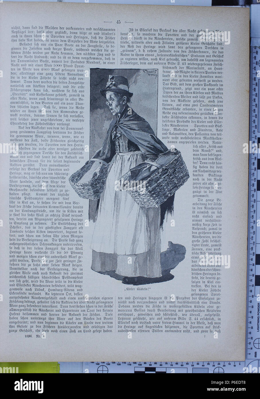 . Gartenlaube sterben. Ausdruck Fehler: nicht erkanntes Wort 'die'. English: keine Bildunterschrift Englisch: keine Bildunterschrift. N/A23 Die Gartenlaube (1896) 0045 Stockfoto