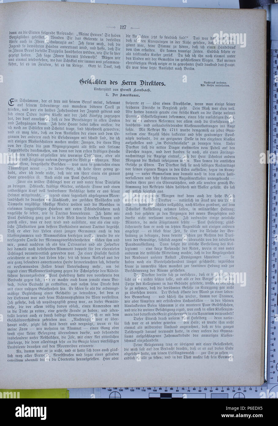 . Gartenlaube sterben. Ausdruck Fehler: nicht erkanntes Wort 'die'. English: keine Bildunterschrift Englisch: keine Bildunterschrift. N/A24 Die Gartenlaube (1896) 0127 Stockfoto