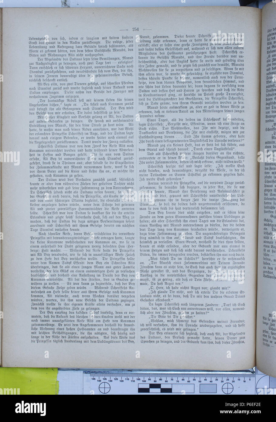 . Gartenlaube sterben. Ausdruck Fehler: nicht erkanntes Wort 'die'. English: keine Bildunterschrift Englisch: keine Bildunterschrift. N/A24 Die Gartenlaube (1896) 0254 Stockfoto