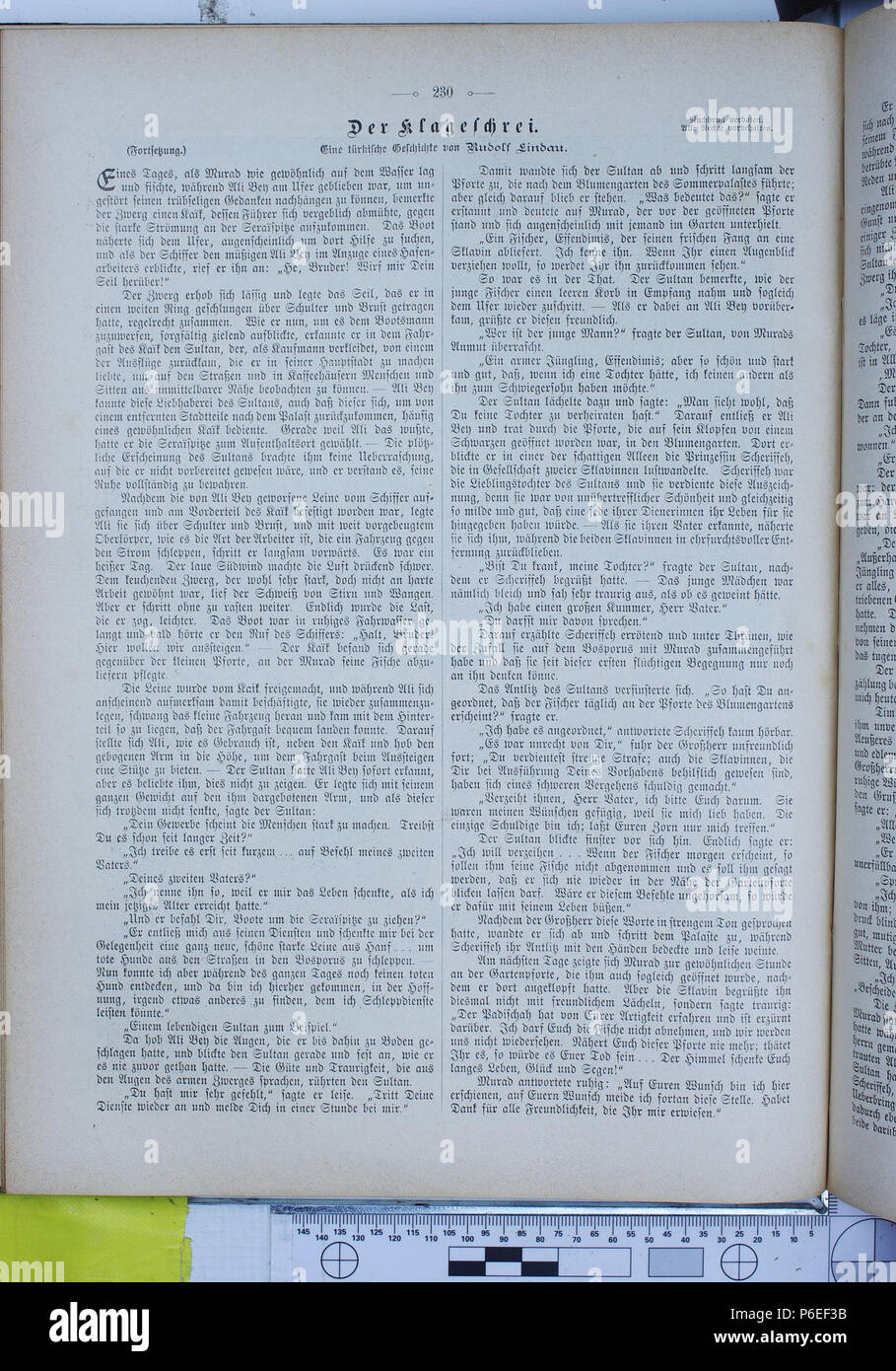 . Gartenlaube sterben. Ausdruck Fehler: nicht erkanntes Wort 'die'. English: keine Bildunterschrift Englisch: keine Bildunterschrift. N/A24 Die Gartenlaube (1896) 0230 Stockfoto
