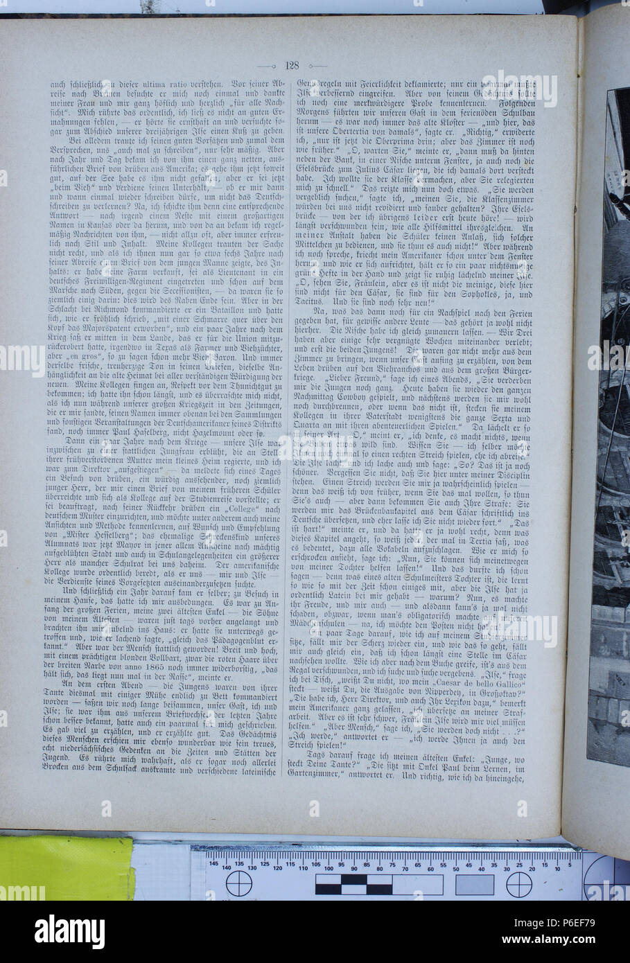. Gartenlaube sterben. Ausdruck Fehler: nicht erkanntes Wort 'die'. English: keine Bildunterschrift Englisch: keine Bildunterschrift. N/A24 Die Gartenlaube (1896) 0128 Stockfoto