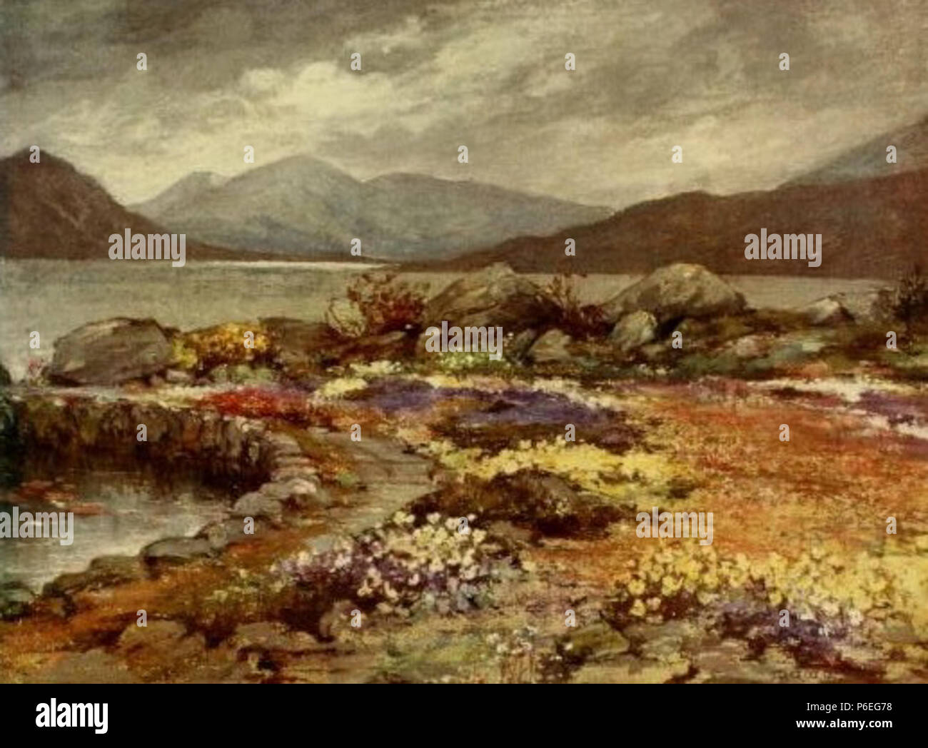 Englisch: John stirling-maxwell's Garden bei Corrour Lodge, Inverness-shire, Schottland. Buchillustration, mit Blick auf Seite 100. 11 Juni 2014, 18:04:49 11 Corrour, Schottischer Gärten Stockfoto