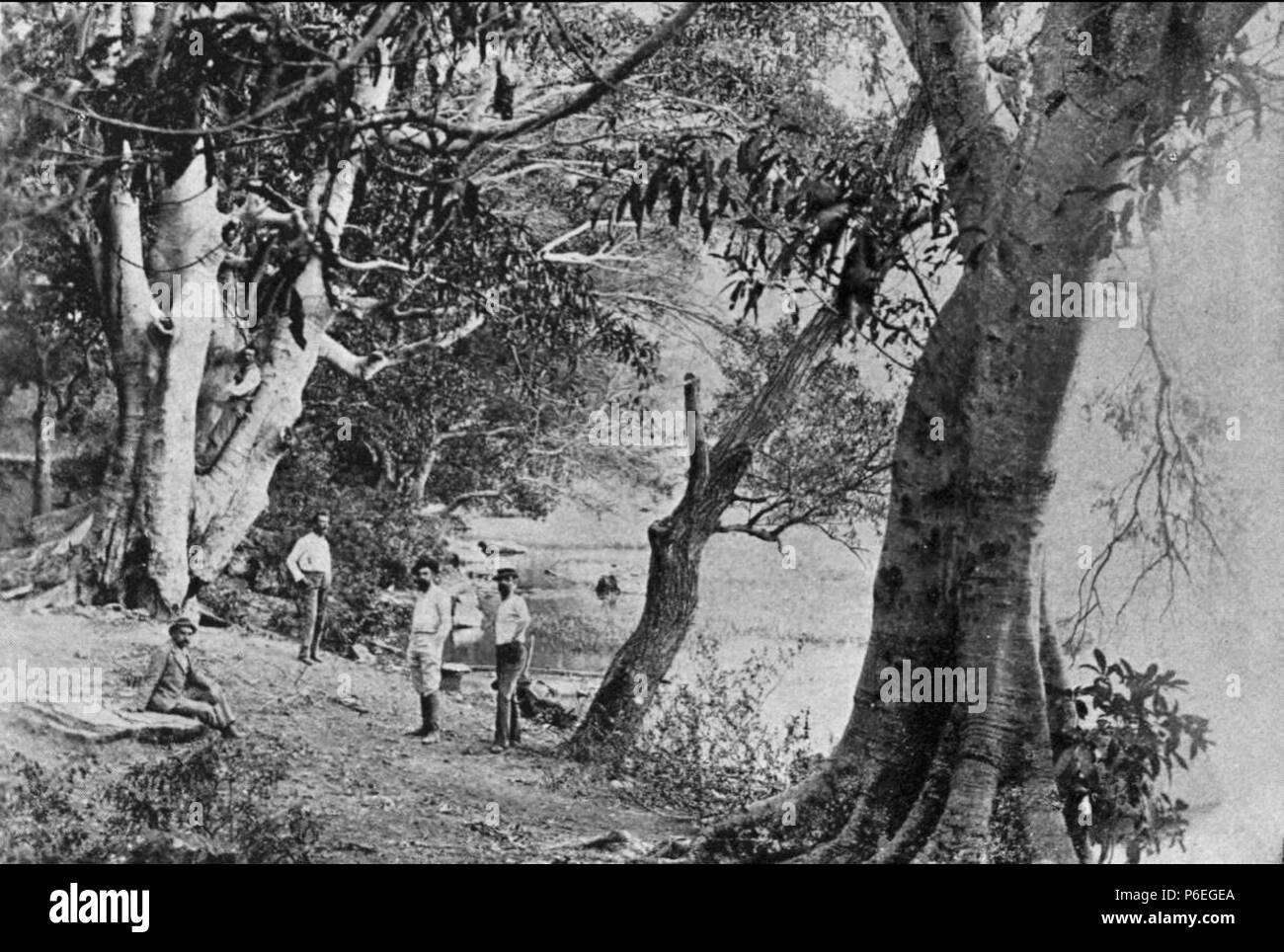 Español: Orillas del Lago de Amatitlán en 1897. 1897 4 Amatitlan 1897 Stockfoto