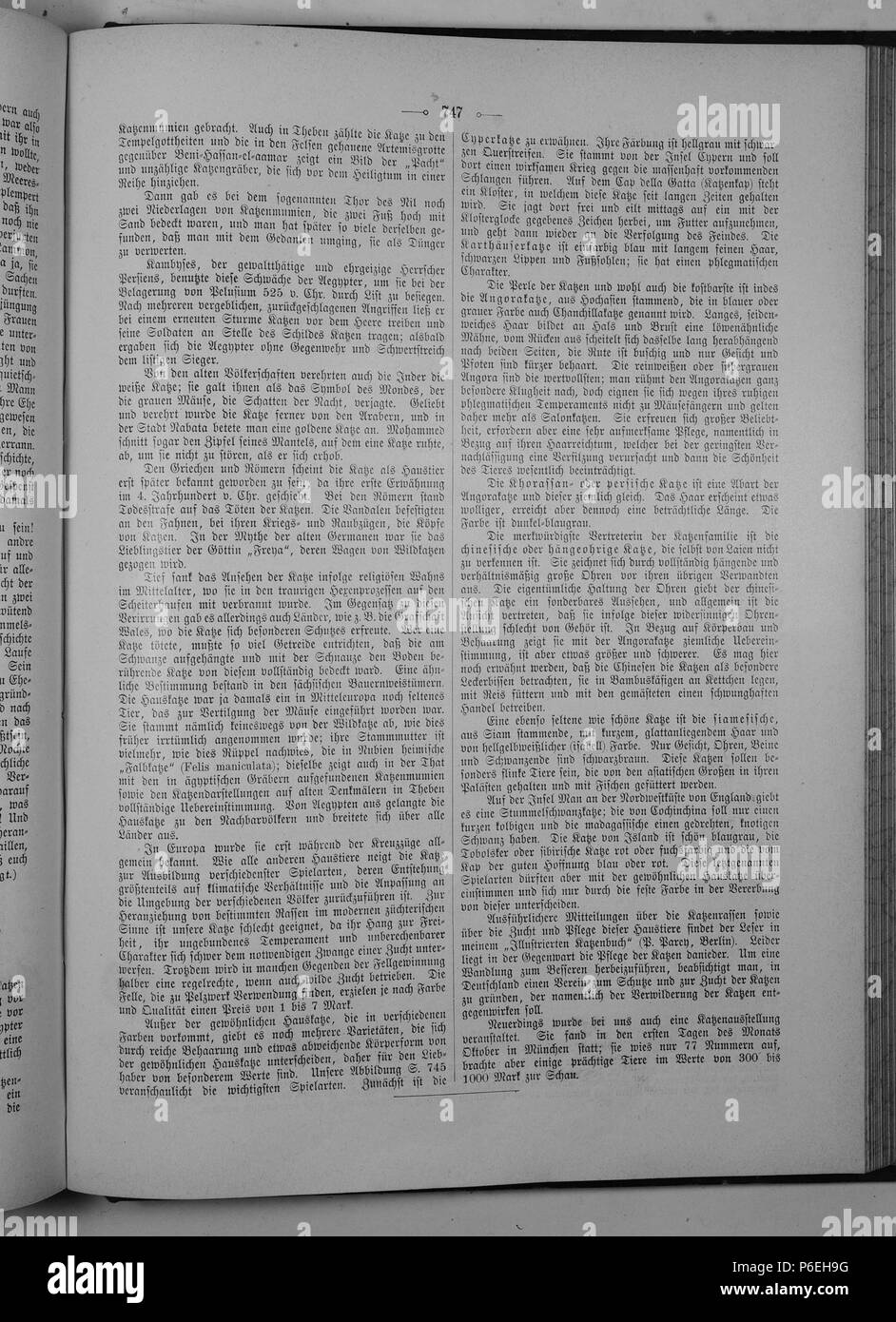 . Gartenlaube sterben. English: Seite 747 aus 'Die Gartenlaube'. Englisch: Seite 747 von Zeitschrift Die Gartenlaube für 1897. Extrahierte Bild (falls vorhanden): Datei: Die Gartenlaube (1897) b747.jpg - Hochauflösende,  2,5 MB. English: keine Bildunterschrift Englisch: keine Bildunterschrift. N/A 32 Gartenlaube (1897) 747 Sterben Stockfoto