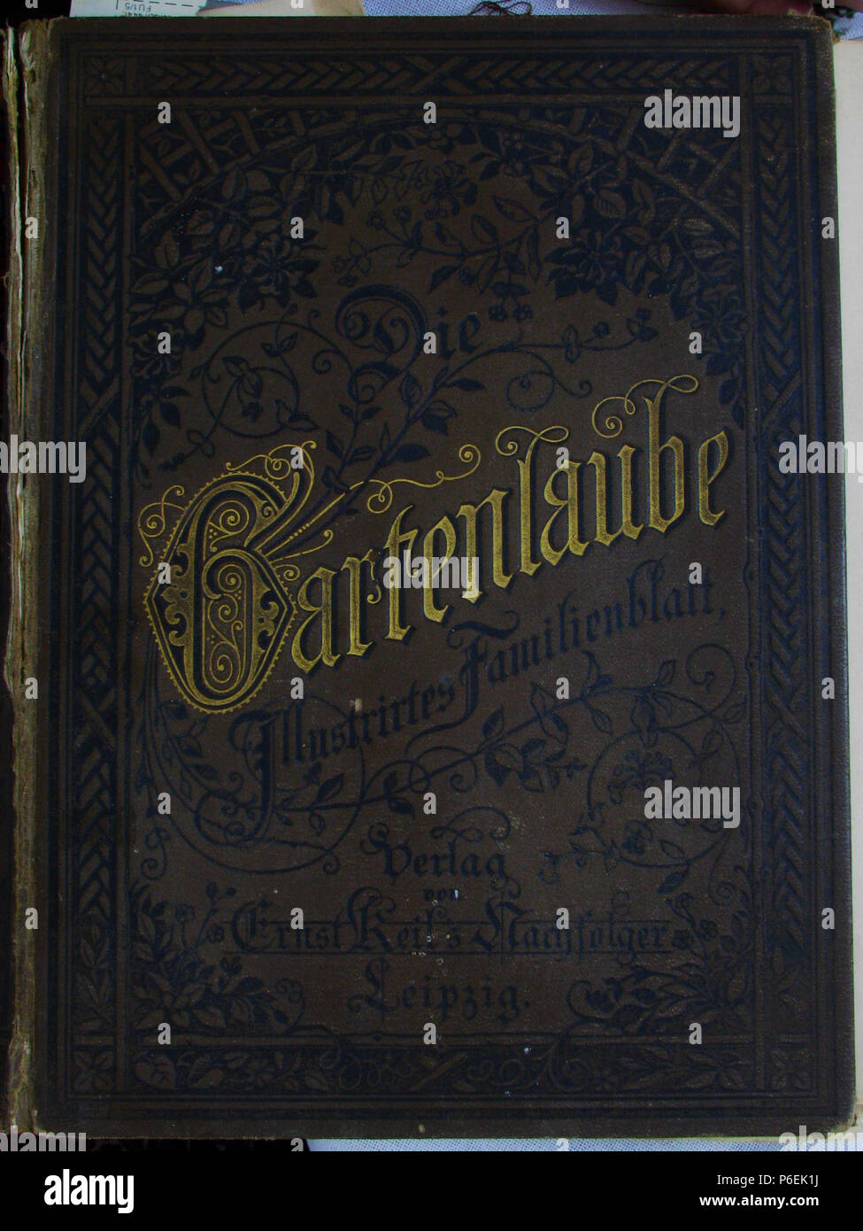 . Gartenlaube sterben. Ausdruck Fehler: nicht erkanntes Wort 'p'. English: keine Bildunterschrift Englisch: keine Bildunterschrift. N/A 18 Gartenlaube (1891) p001 Sterben Stockfoto