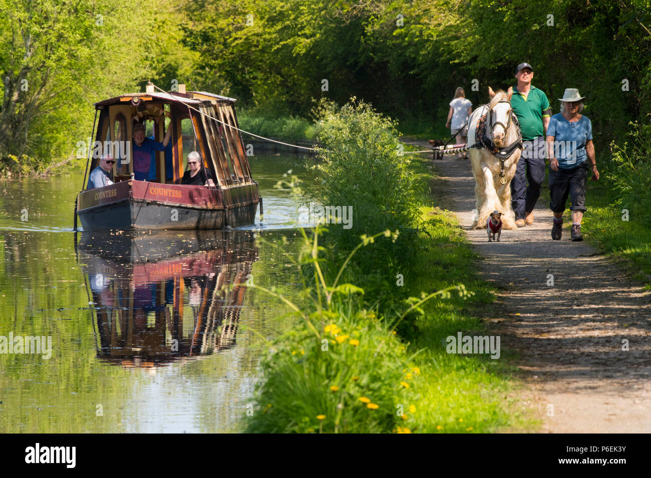 Von Pferden gezogene Kanal Boot auf der Montgomery Kanal bei Maesbury, Shropshire. Stockfoto